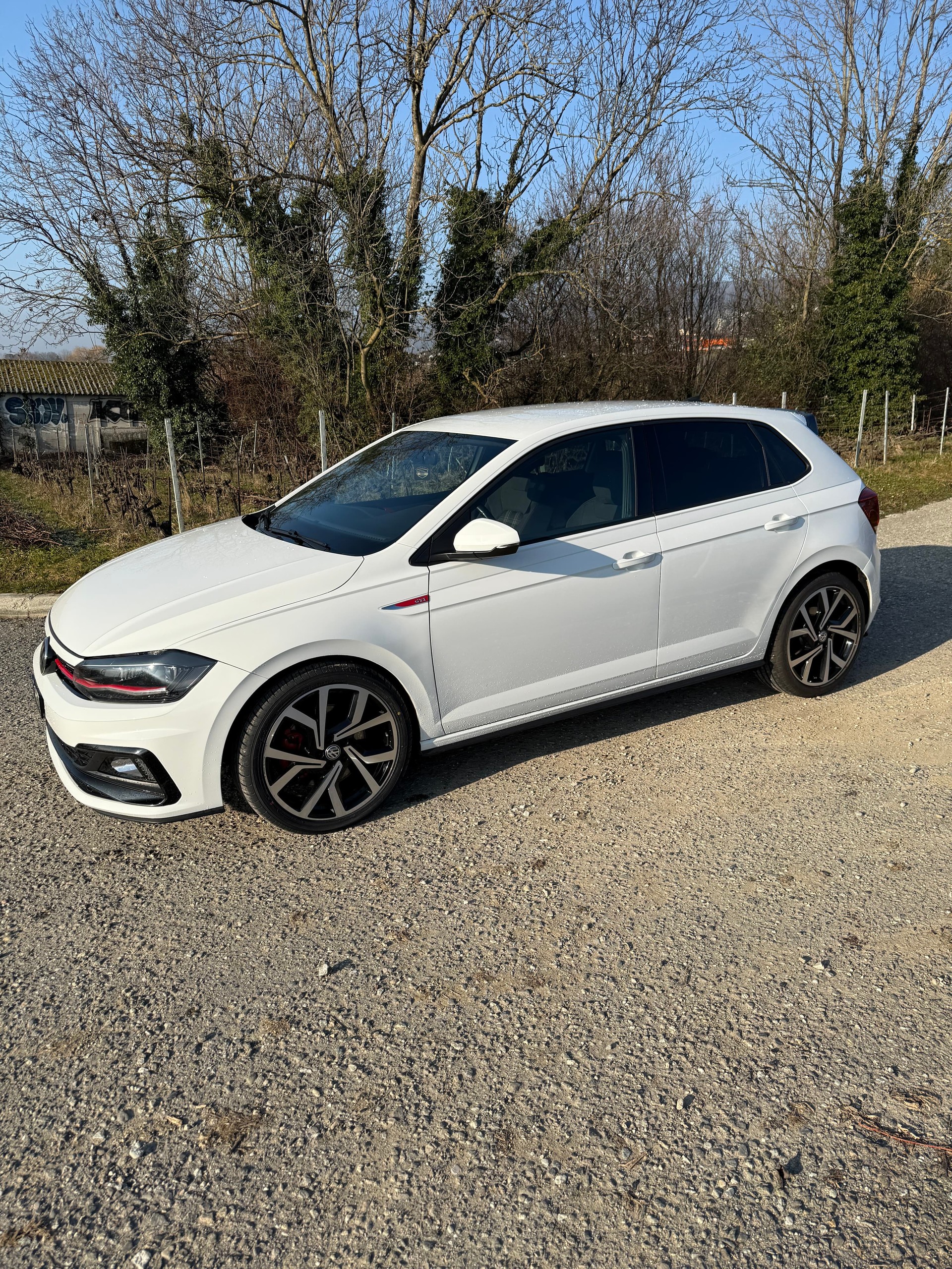 VW Polo 2.0 TSI GTI DSG