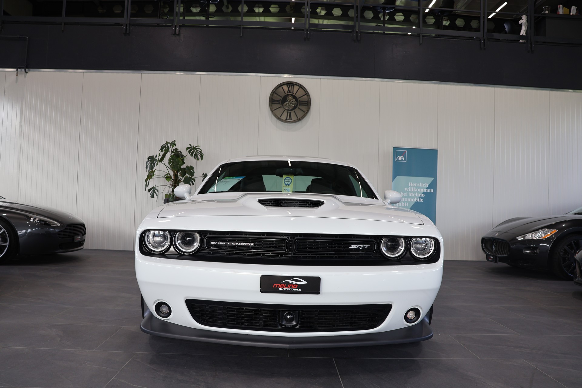 DODGE Challenger SRT 392 6.4 V8 Hemi-image-3