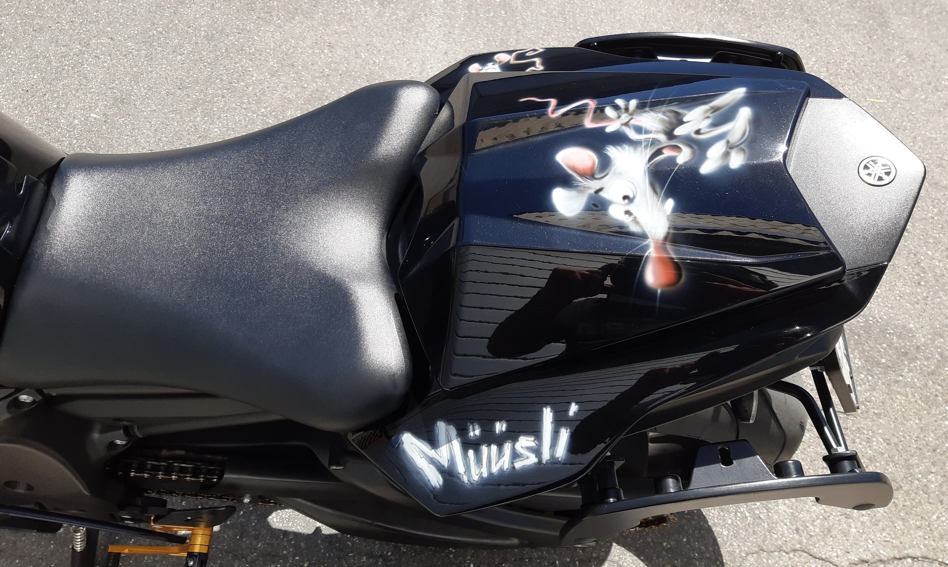 YAMAHA FZ8 N ABS-image-5