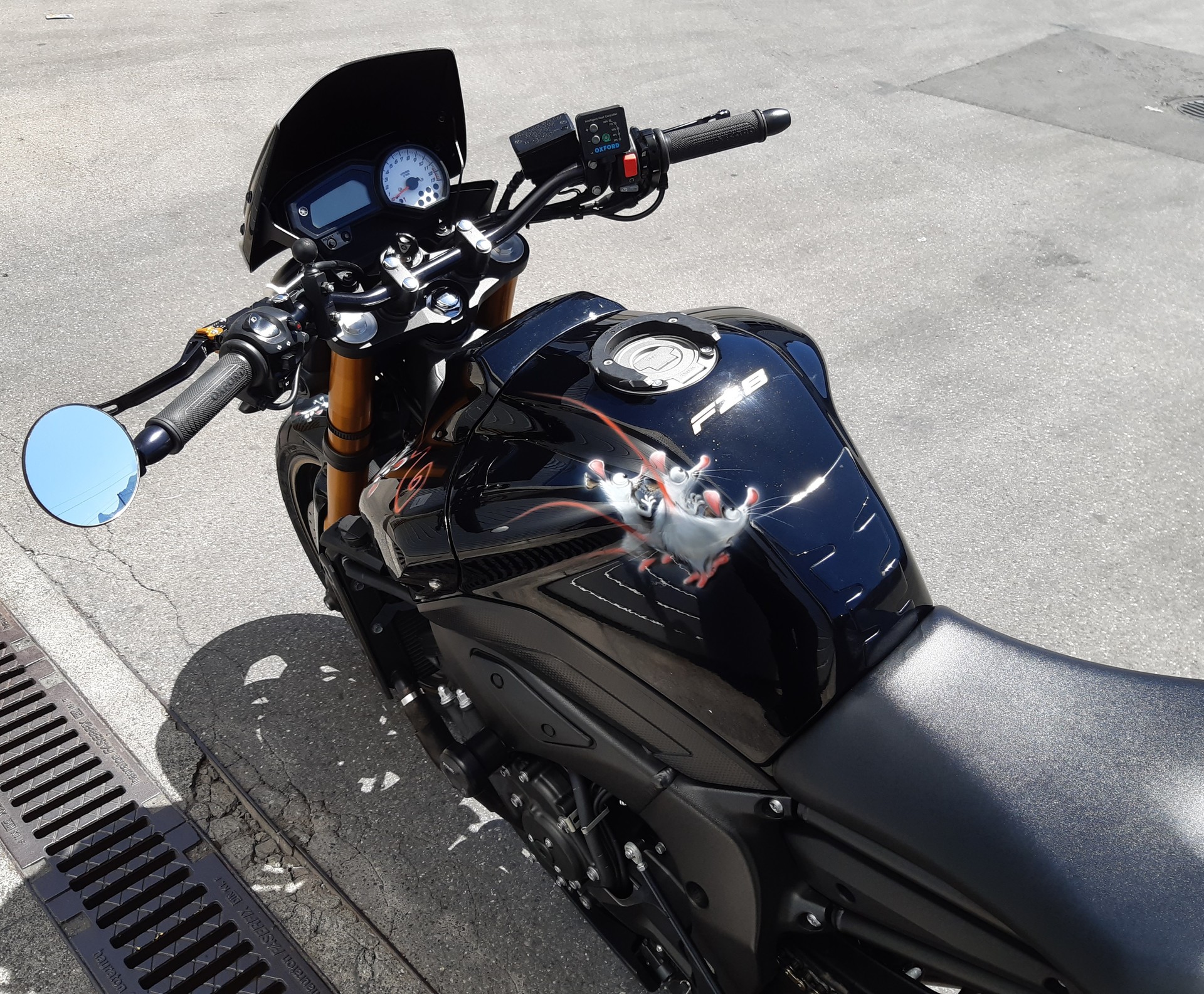 YAMAHA FZ8 N ABS-image-3