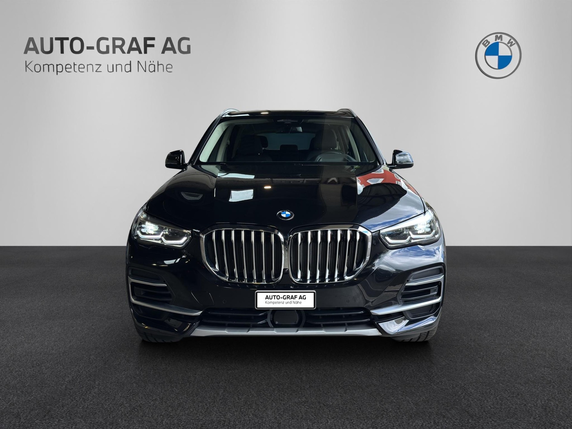 BMW X5 25d xDrive-image-7