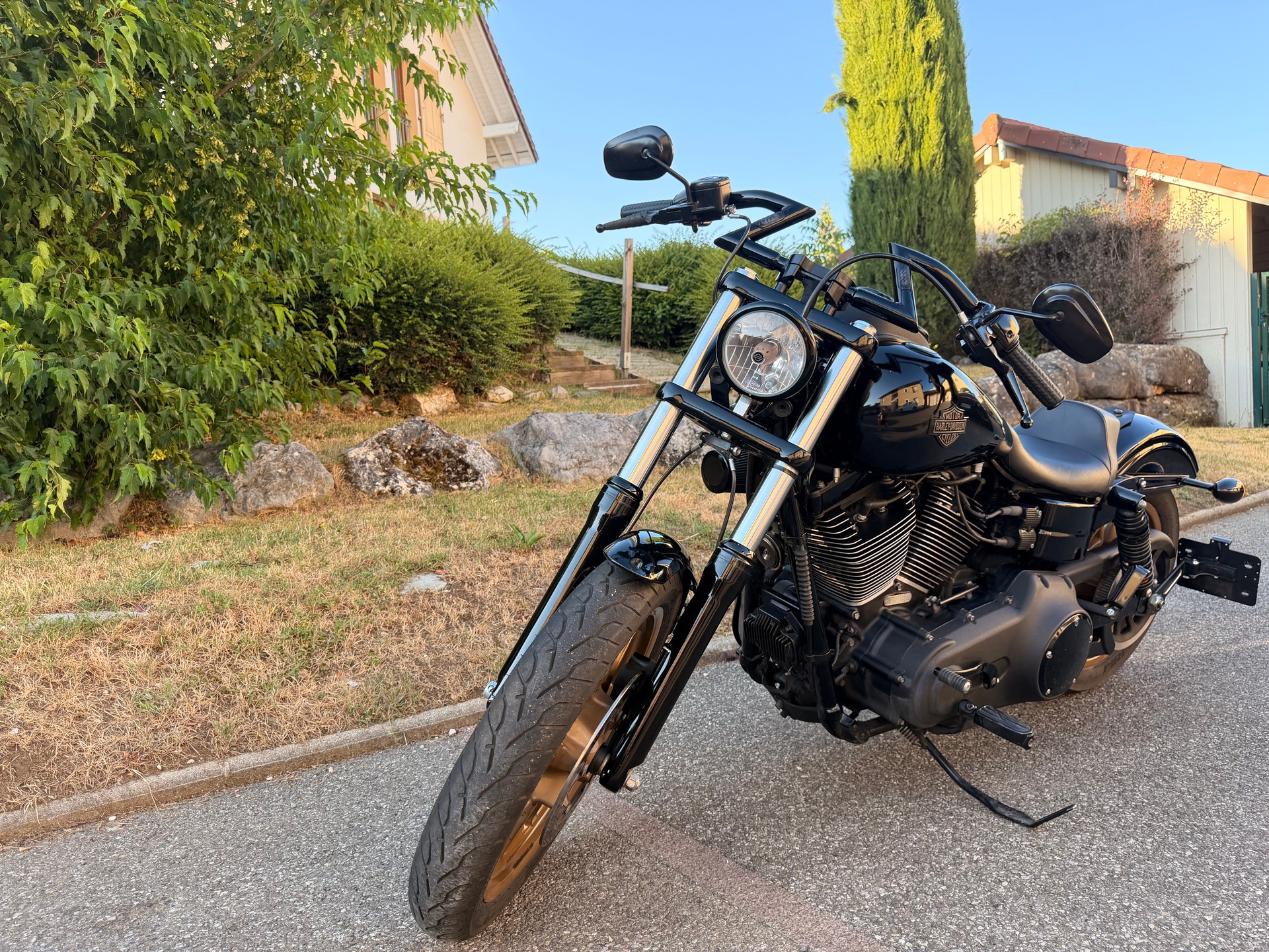HARLEY-DAVIDSON FXDLS Dyna Low Rider S-image-0