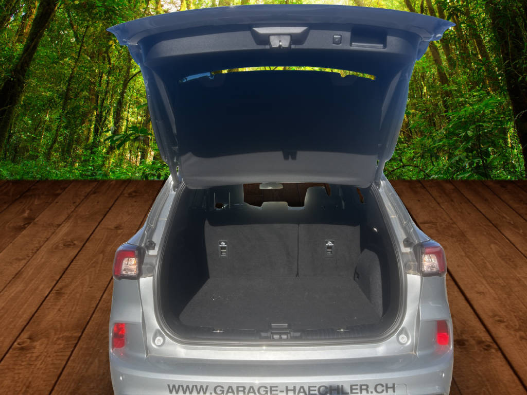 FORD Kuga 2.5 Plug-in Hybrid ST-Line X-image-4