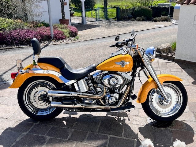 HARLEY-DAVIDSON FLSTFB Fat Boy Special ABS-image-0