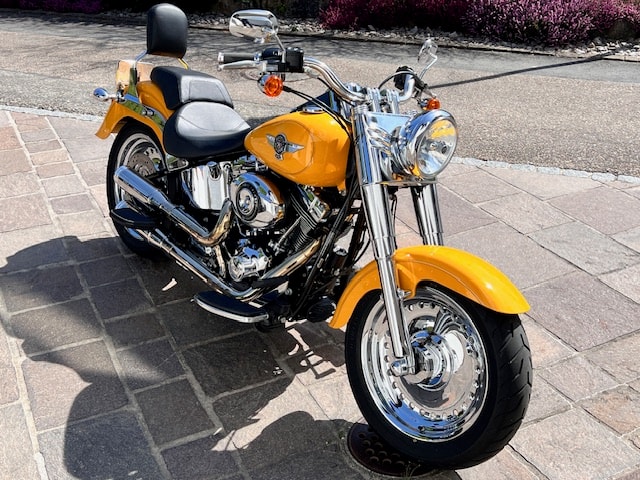 HARLEY-DAVIDSON FLSTFB Fat Boy Special ABS-image-1