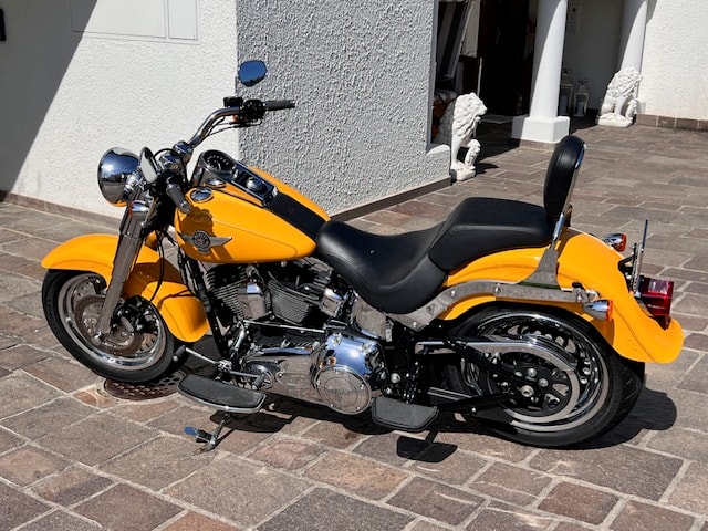 HARLEY-DAVIDSON FLSTFB Fat Boy Special ABS-image-3