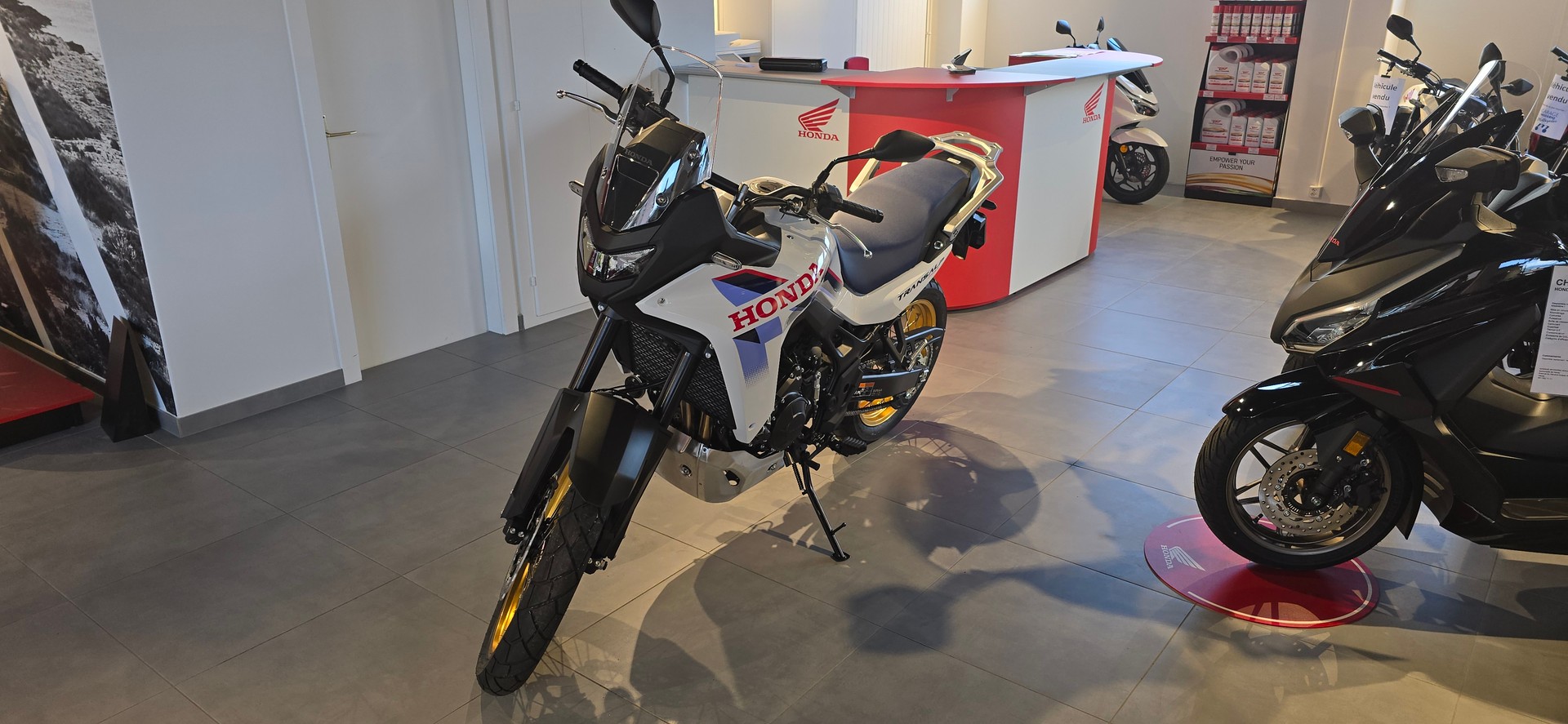 HONDA XL 750 Transalp E-Clutch-image-0