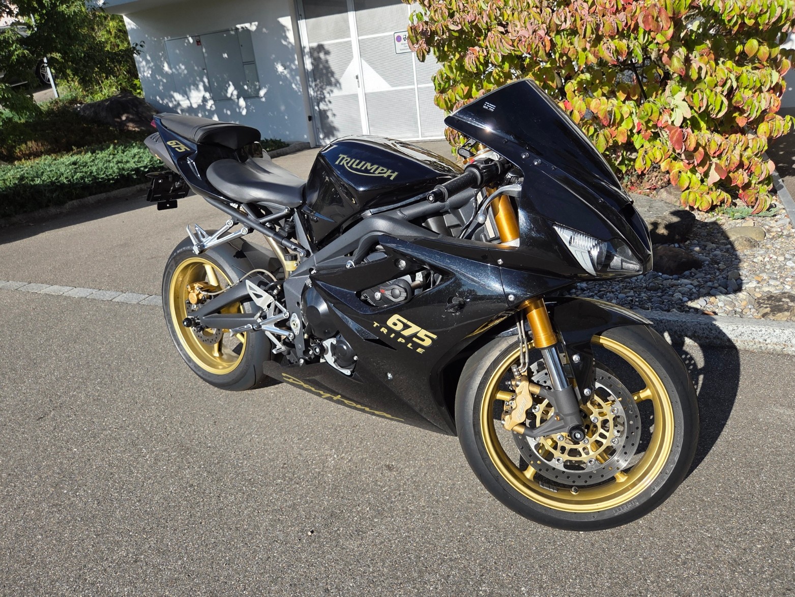 TRIUMPH Daytona 675-image-1