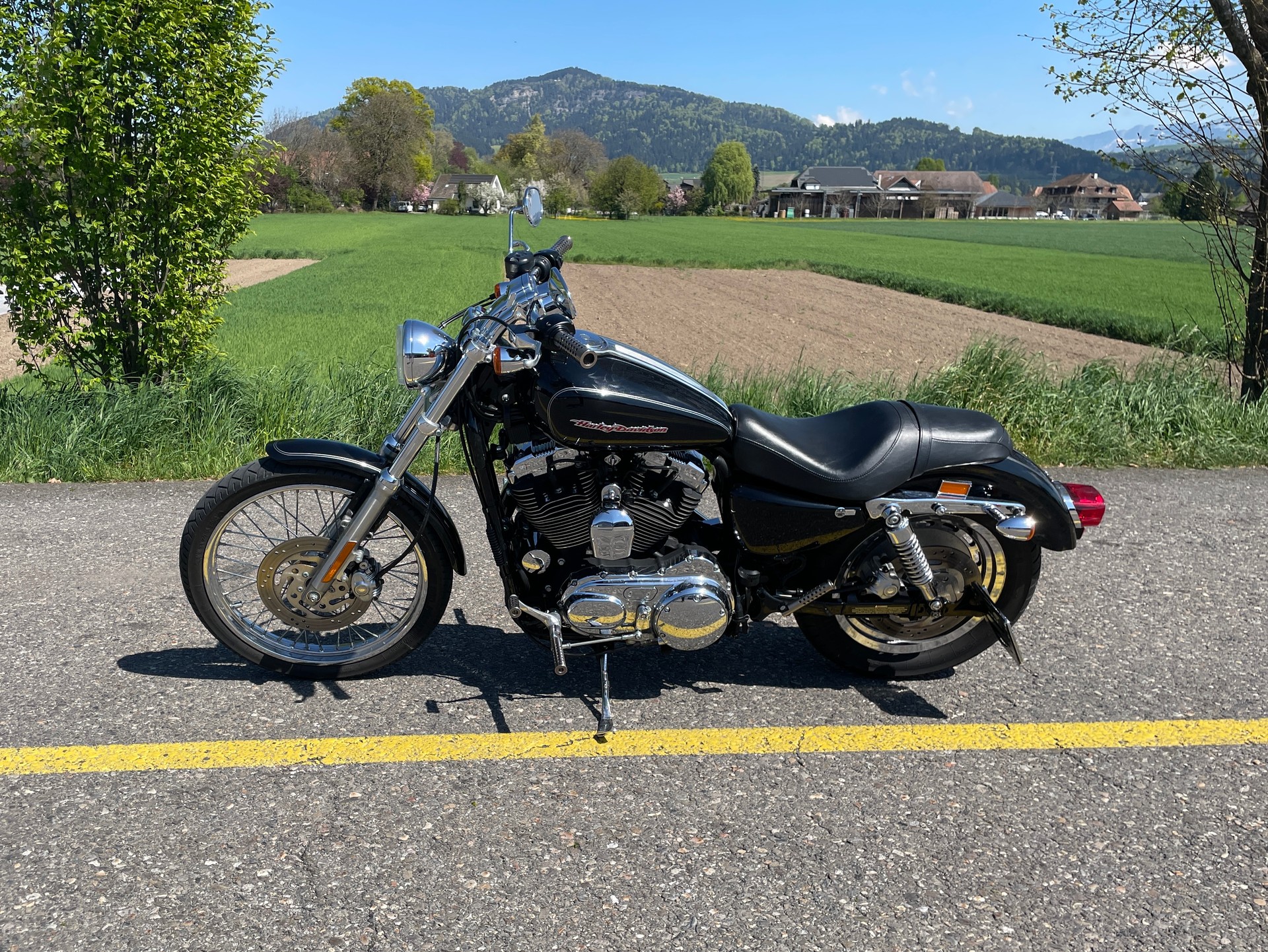 HARLEY-DAVIDSON XL 1200 C Sportster Custom-image-1