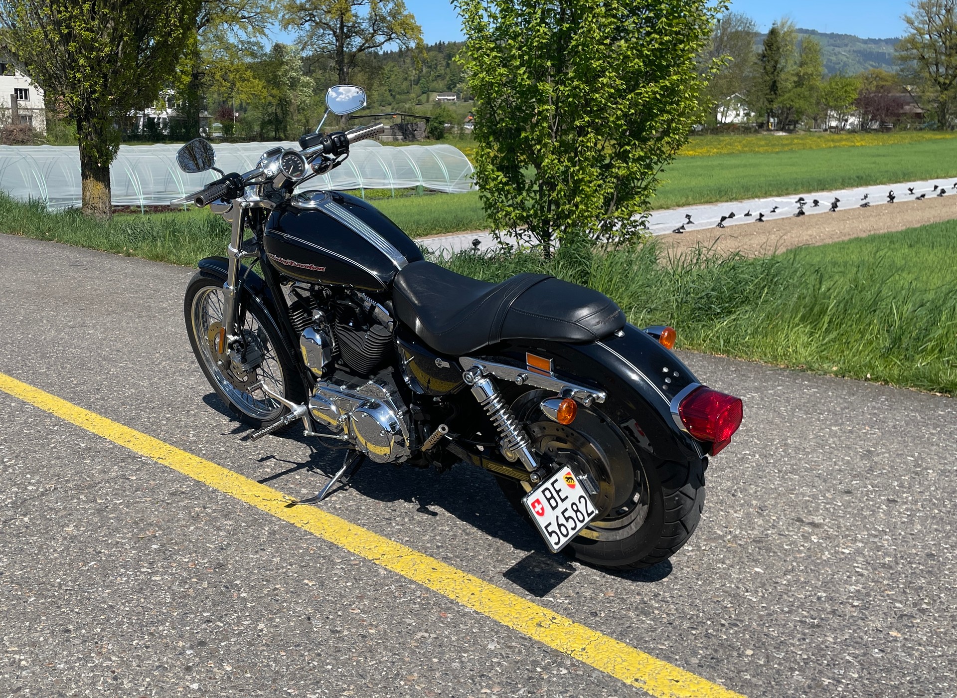 HARLEY-DAVIDSON XL 1200 C Sportster Custom-image-4
