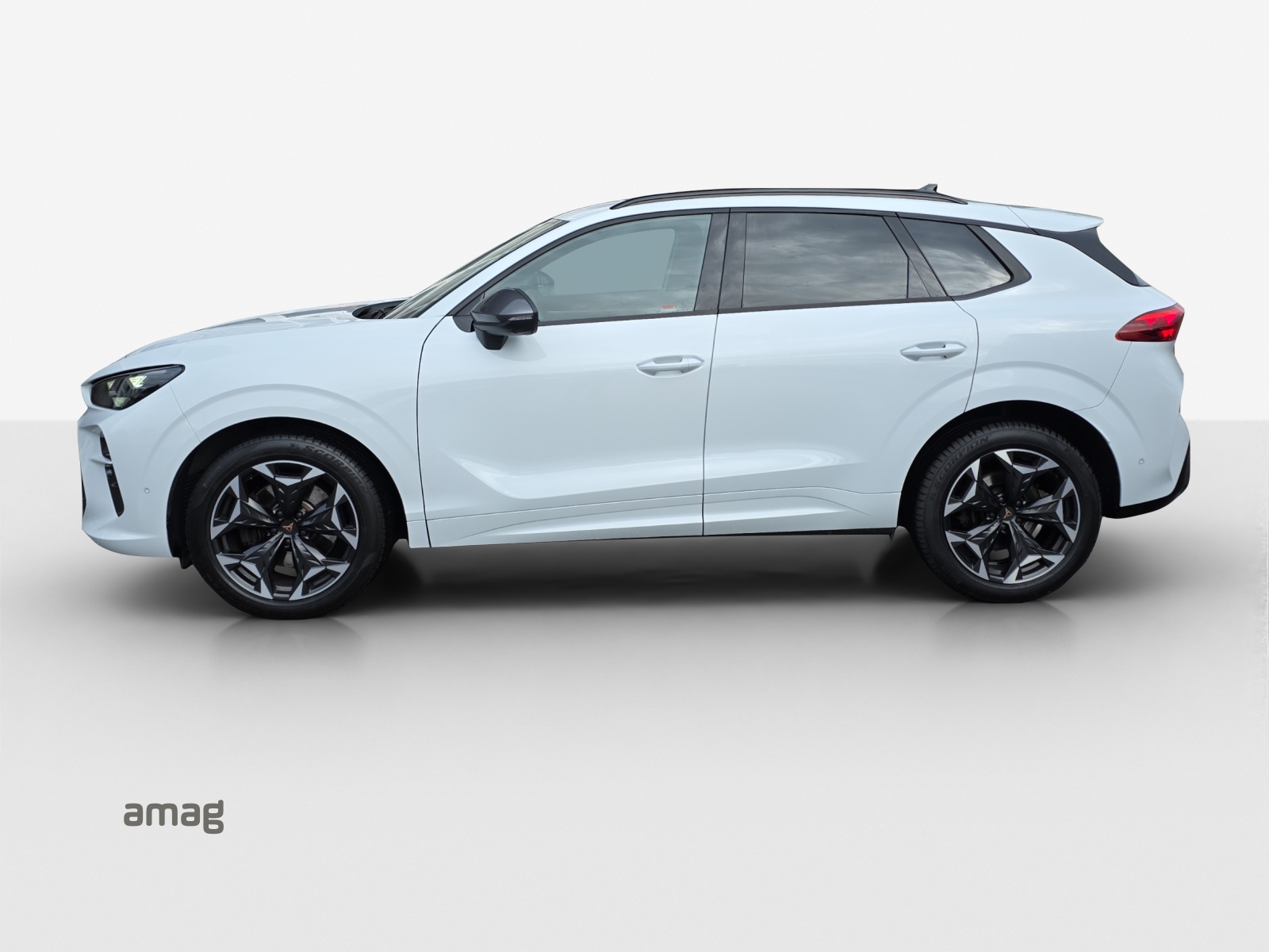 CUPRA Terramar 2.0 TSI DSG 4Drive VZ-showroom-element-1