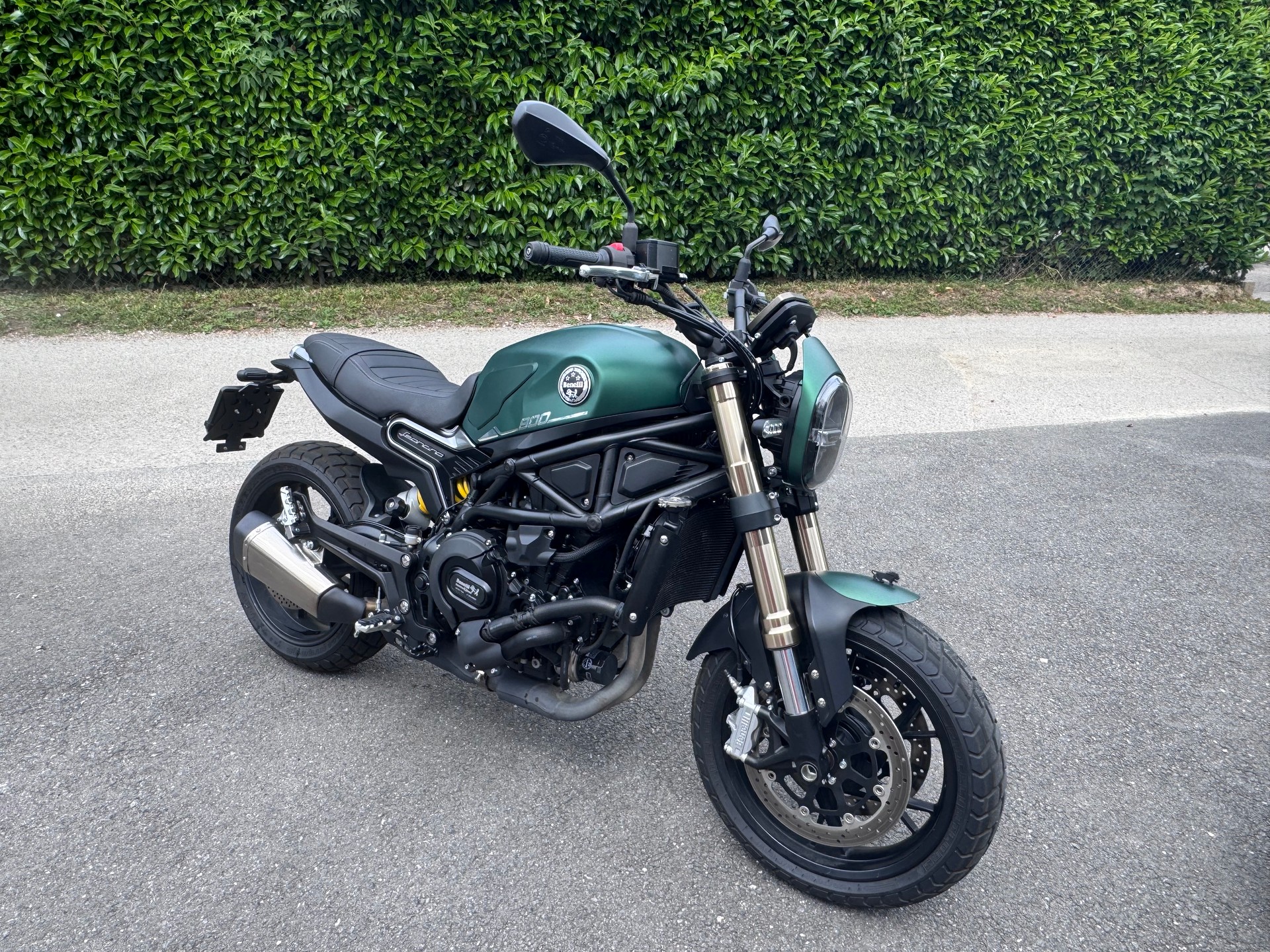 BENELLI Leoncino 800-image-0