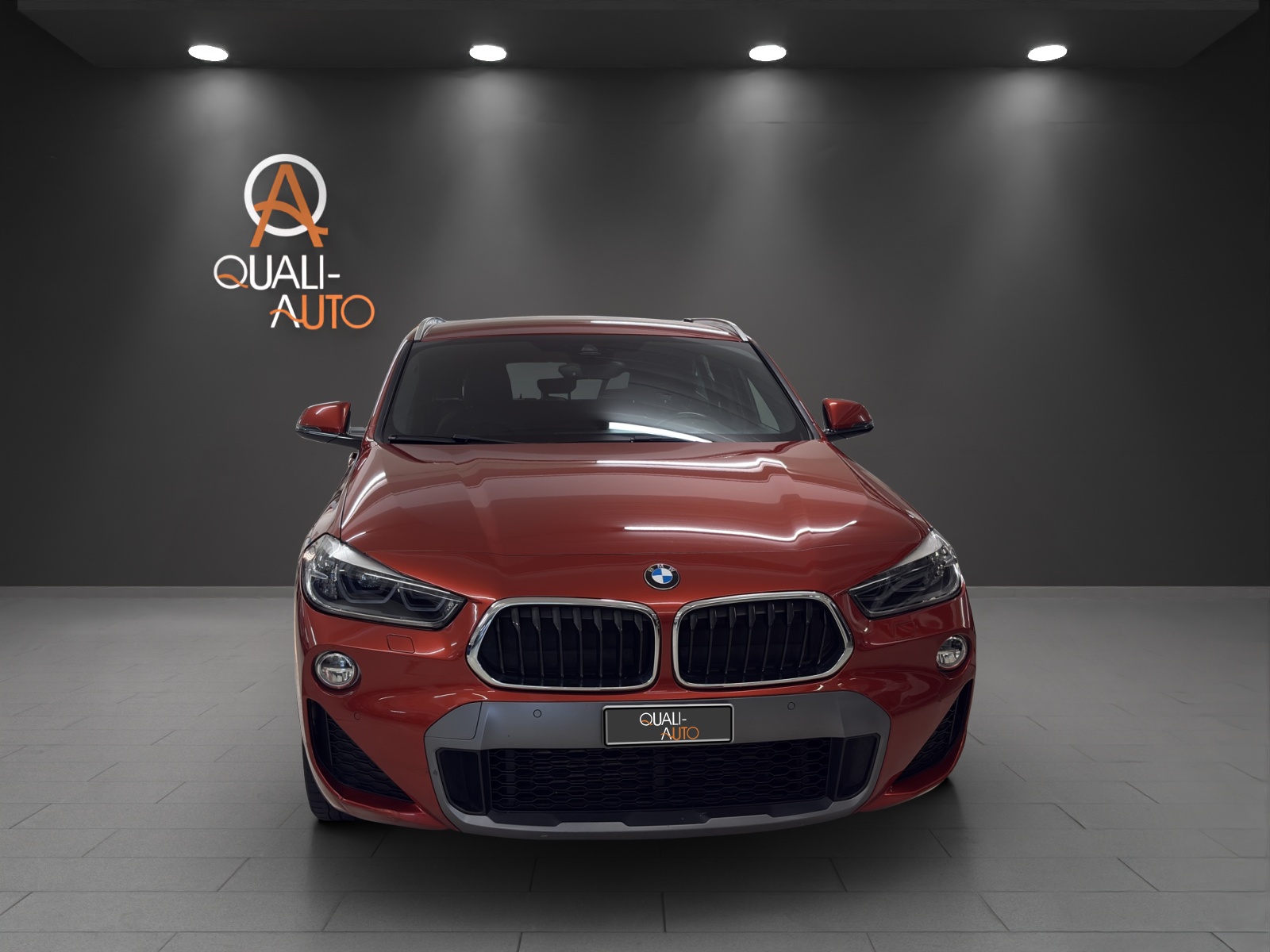 BMW X2 xDrive 25d M Sport Steptronic-showroom-element-1
