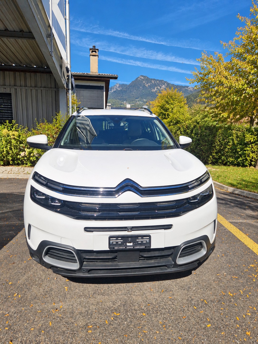 CITROEN 2.0 BlueHDi Shine