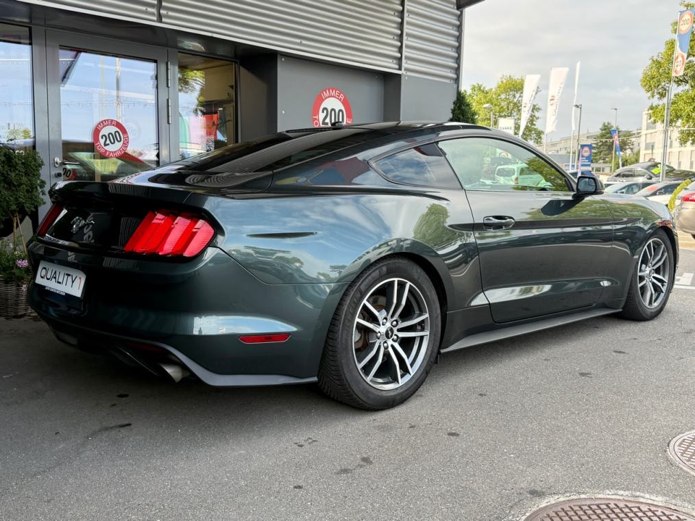 FORD Mustang Fastback 2.3 Automat-showroom-element-2
