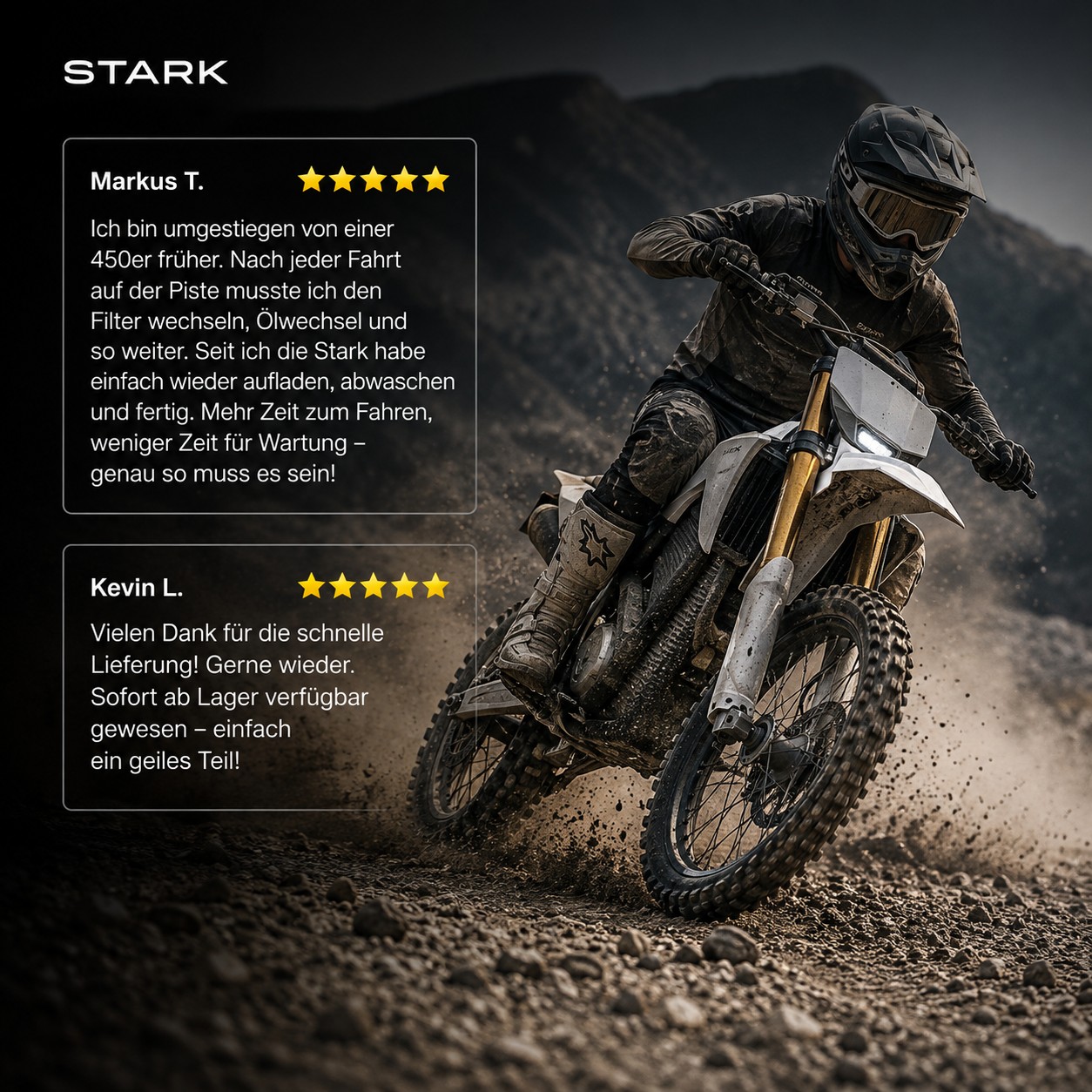 STARK VARG EX 80PS-image-7