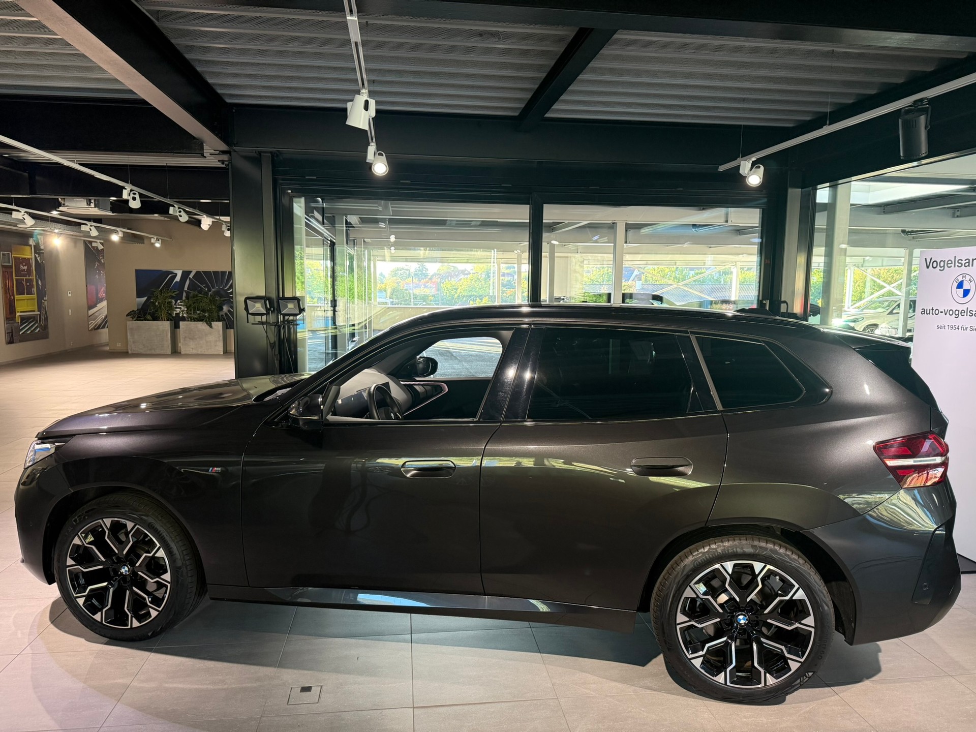 BMW X3 xDrive 48V 20d M Sport-showroom-element-2