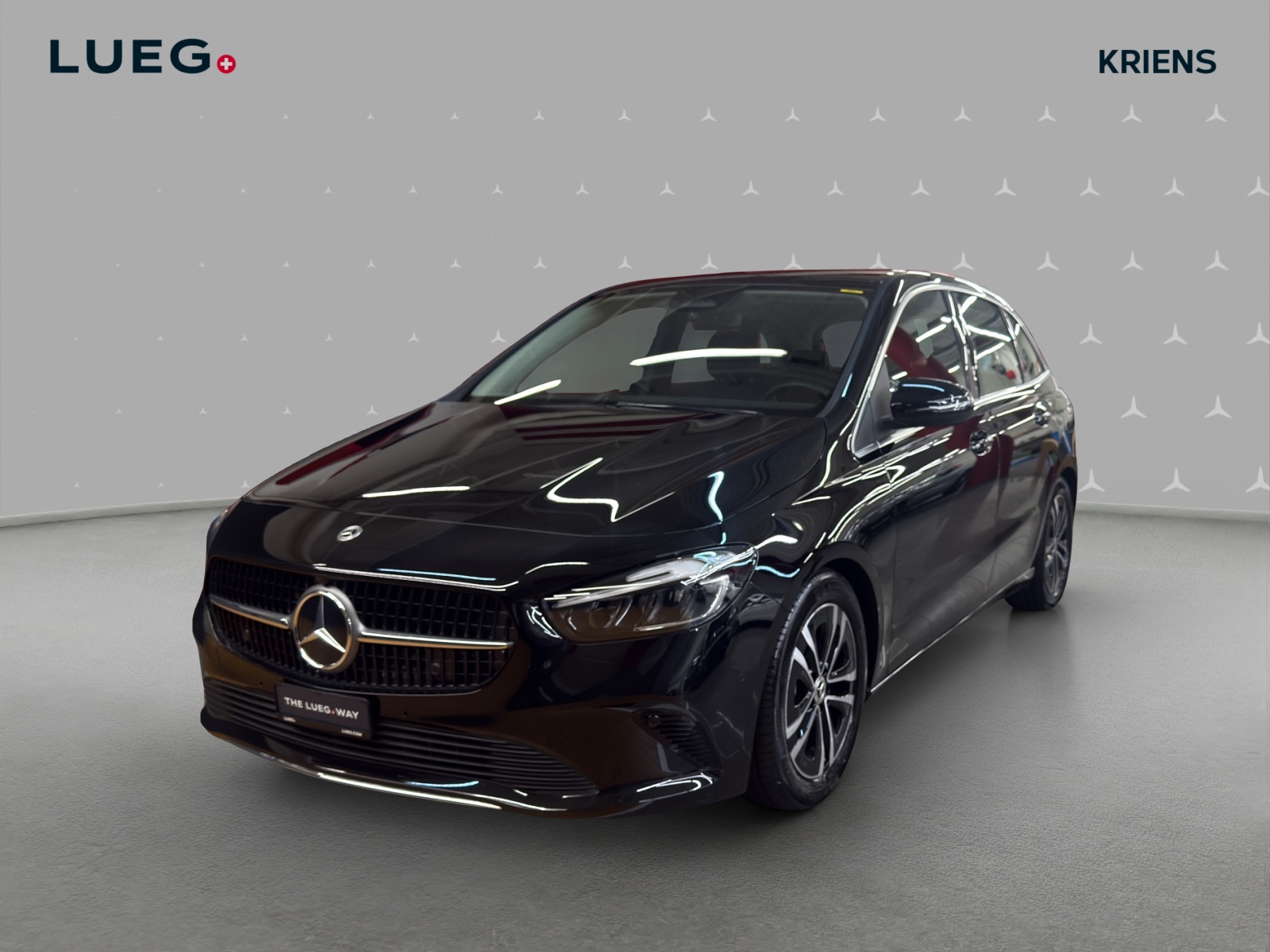 MERCEDES-BENZ B 220 4M - Progressive / Rückfahrkamera / Winter-Paket