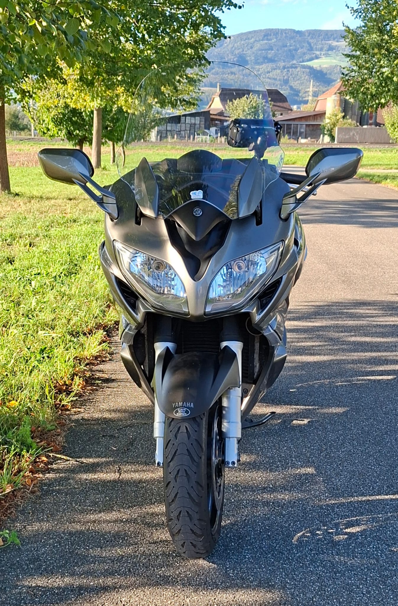 YAMAHA FJR-image-2
