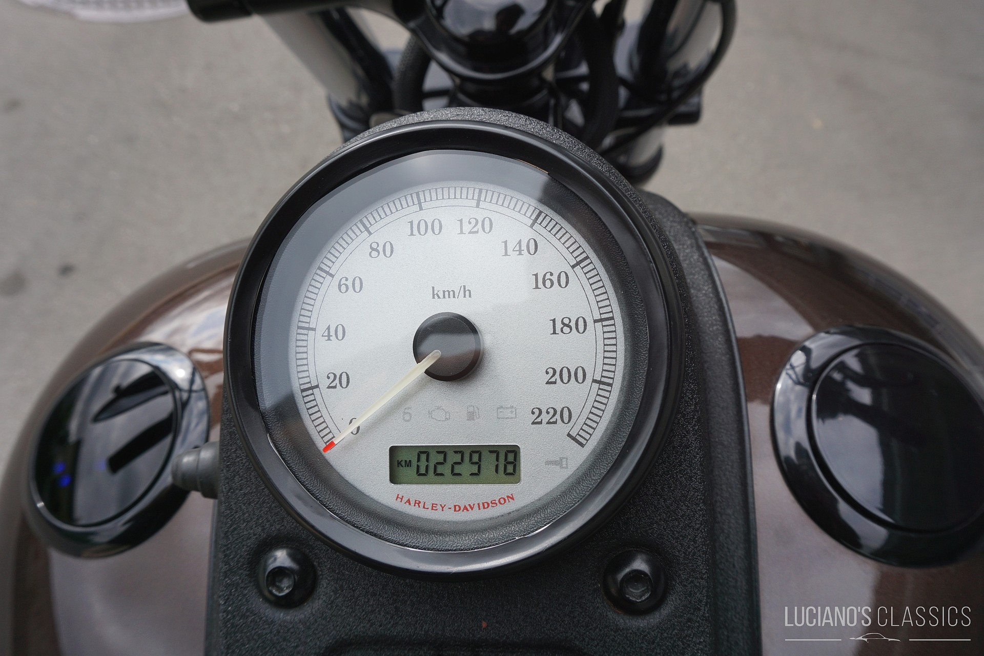 HARLEY-DAVIDSON FXDBI Dyna Street Bob-image-14