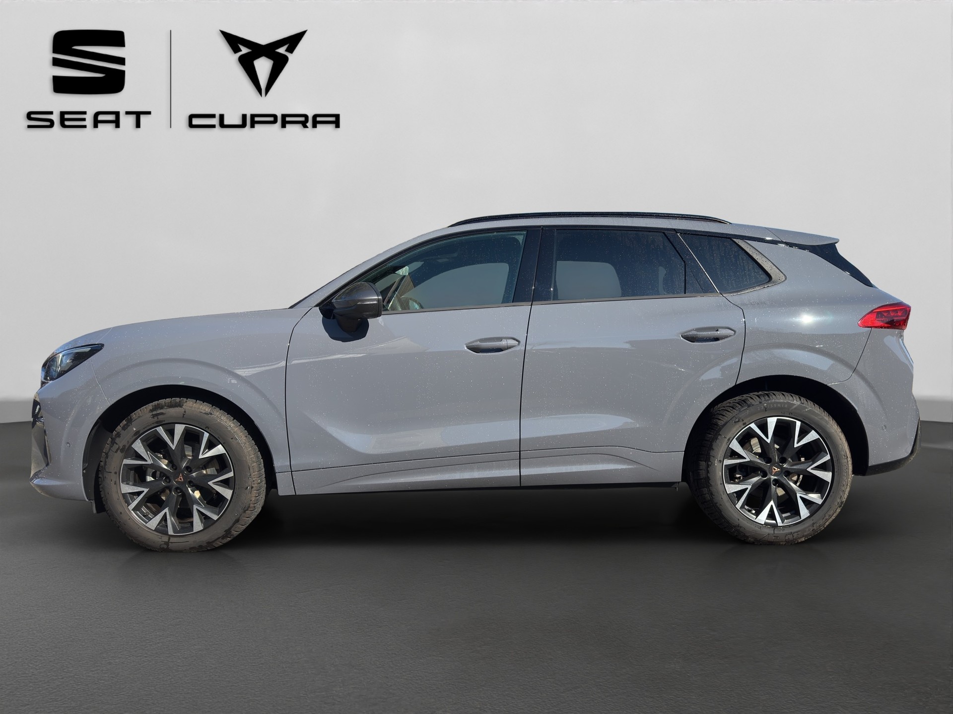 CUPRA Terramar 1.5 eTSI DSG-showroom-element-2