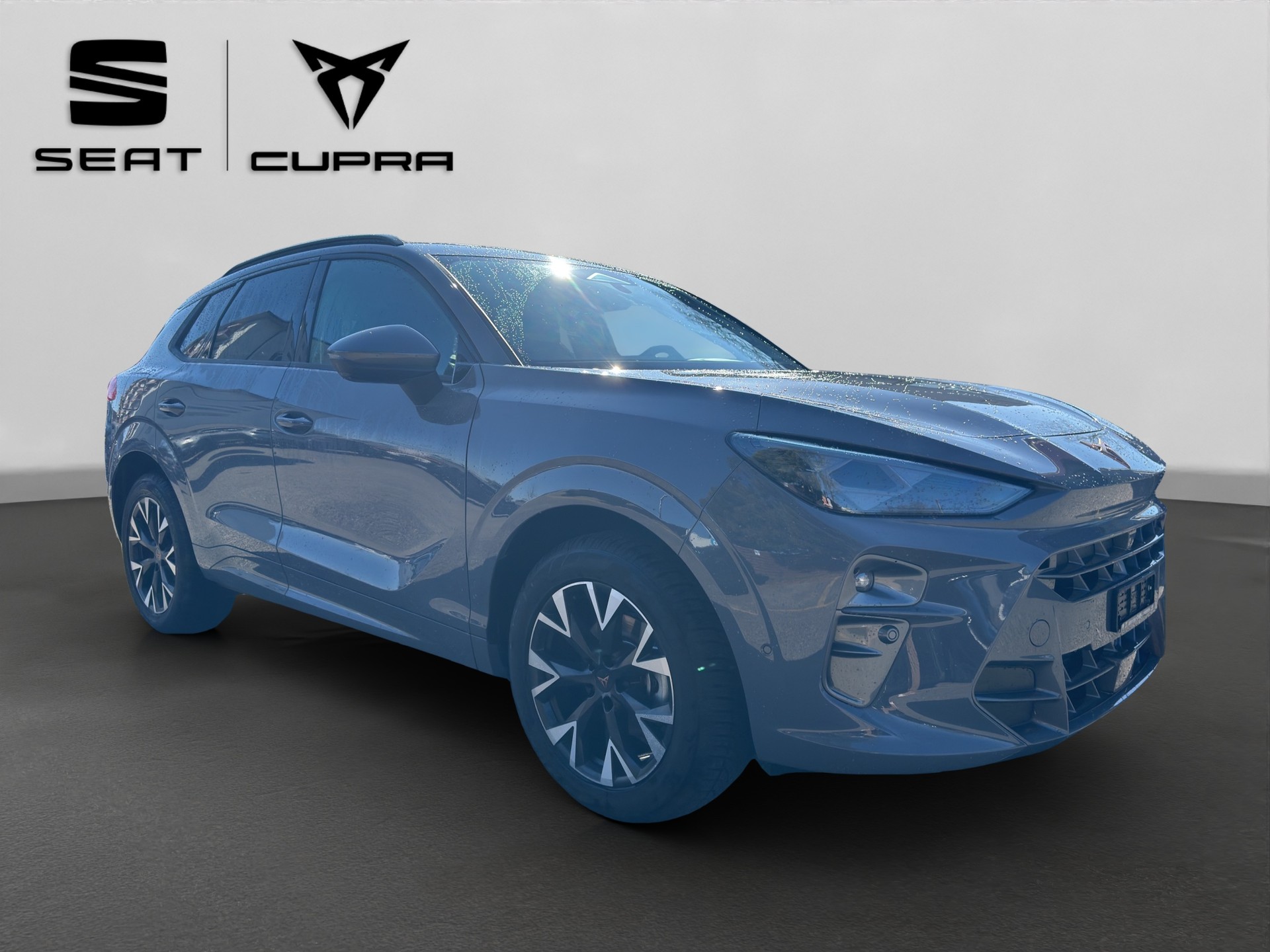 CUPRA Terramar 1.5 eTSI DSG-image-7