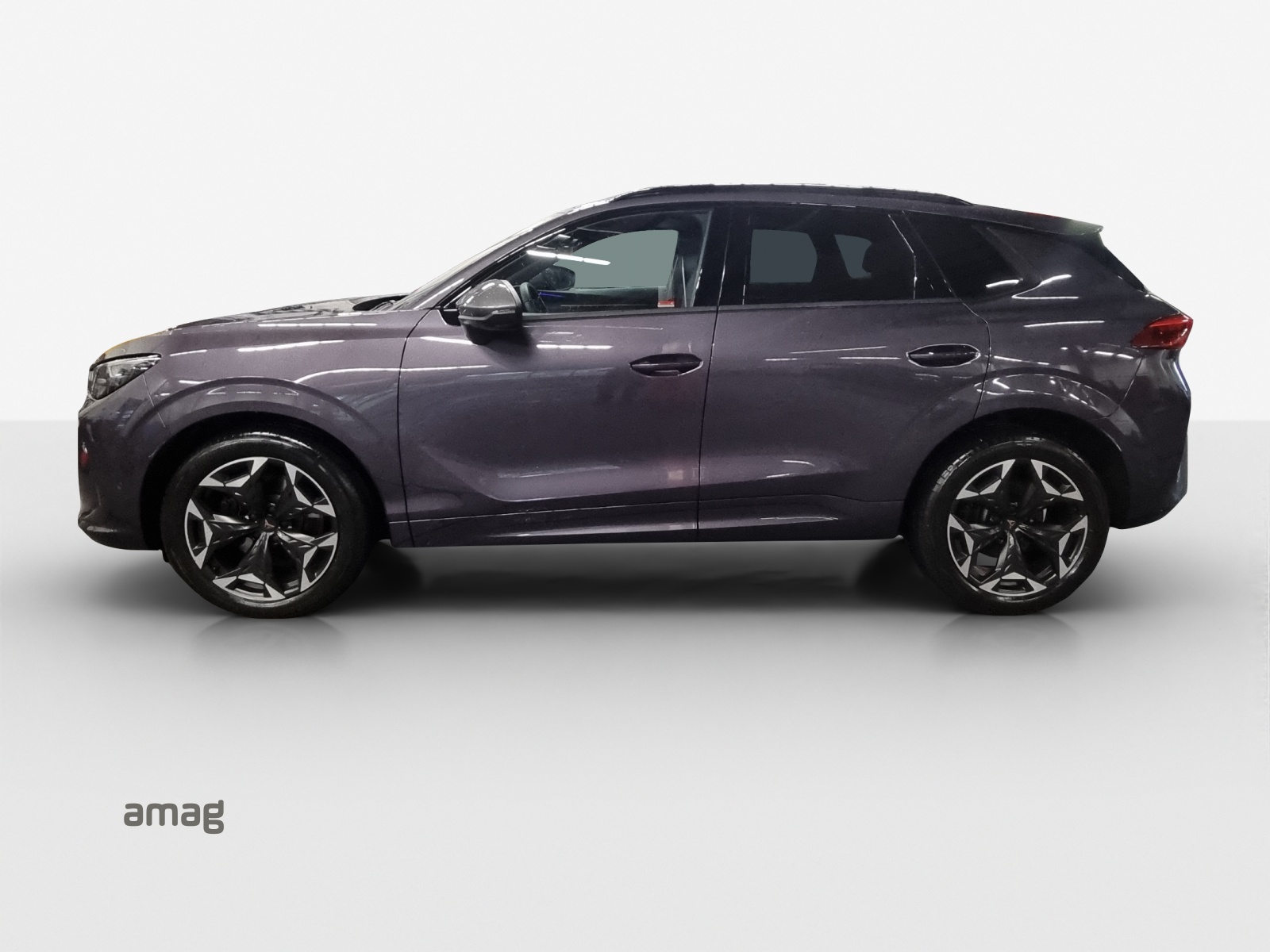 CUPRA Terramar 2.0 TSI DSG 4Drive VZ-showroom-element-1