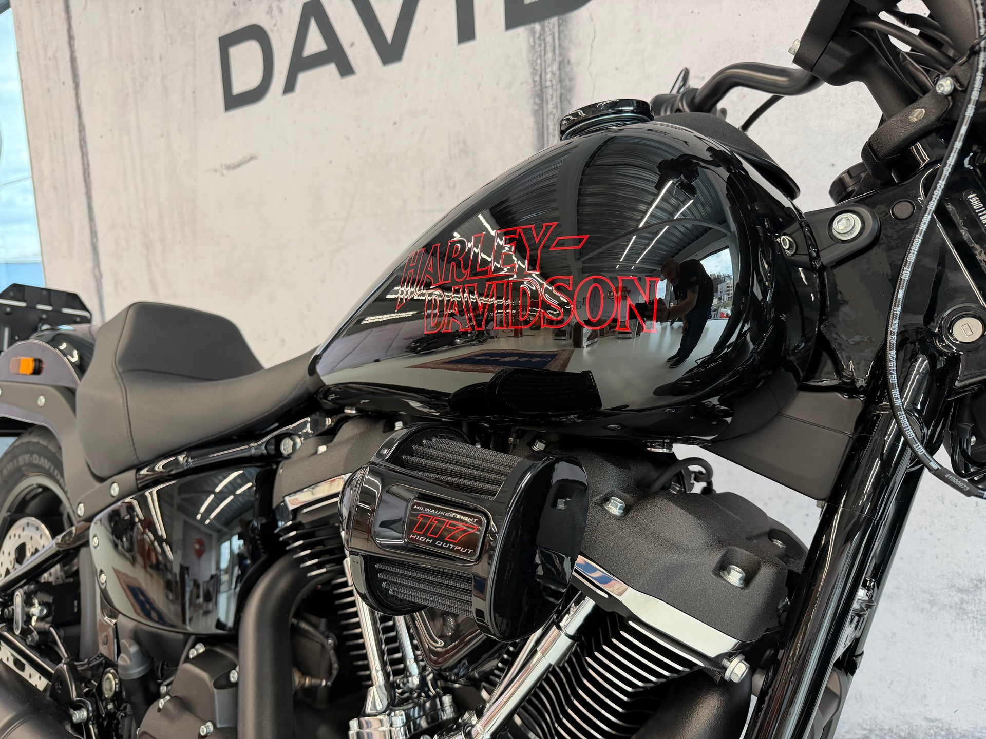 HARLEY-DAVIDSON FXLRS Low Rider S 117-image-6