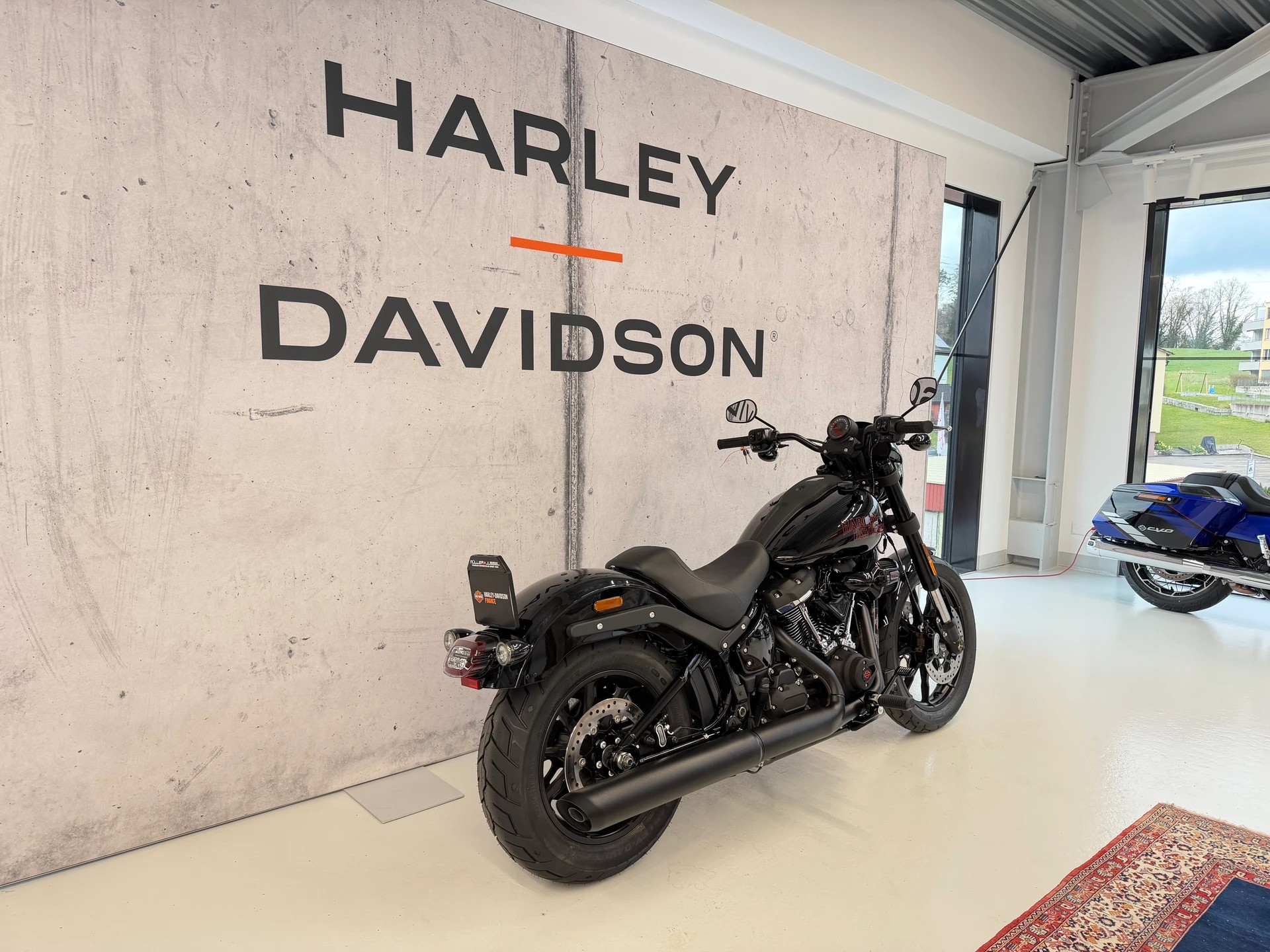 HARLEY-DAVIDSON FXLRS Low Rider S 117-image-2