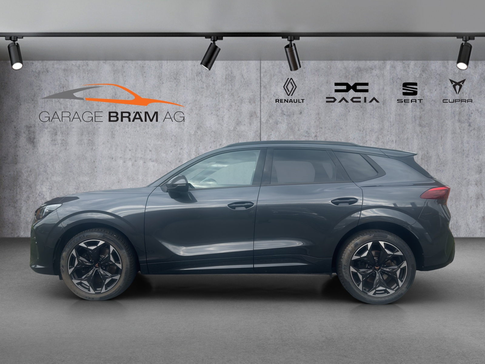 CUPRA Terramar 2.0 TSI DSG 4Drive VZ-showroom-element-2