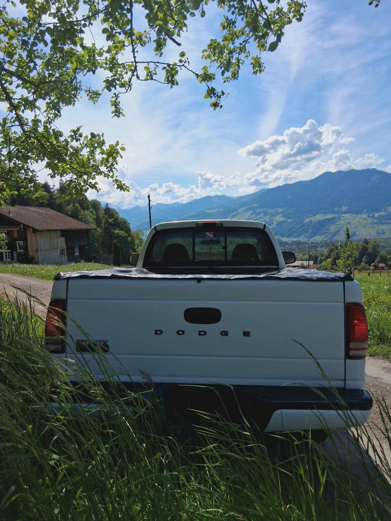 DODGE Dodge Dakota 3.9l V6-image-6