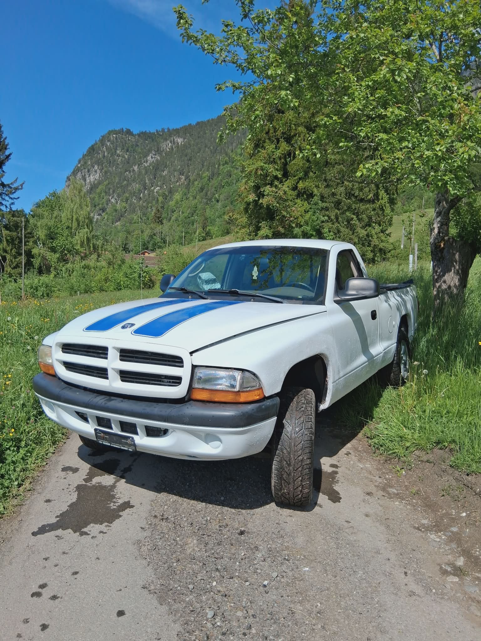 DODGE Dodge Dakota 3.9l V6-image-2