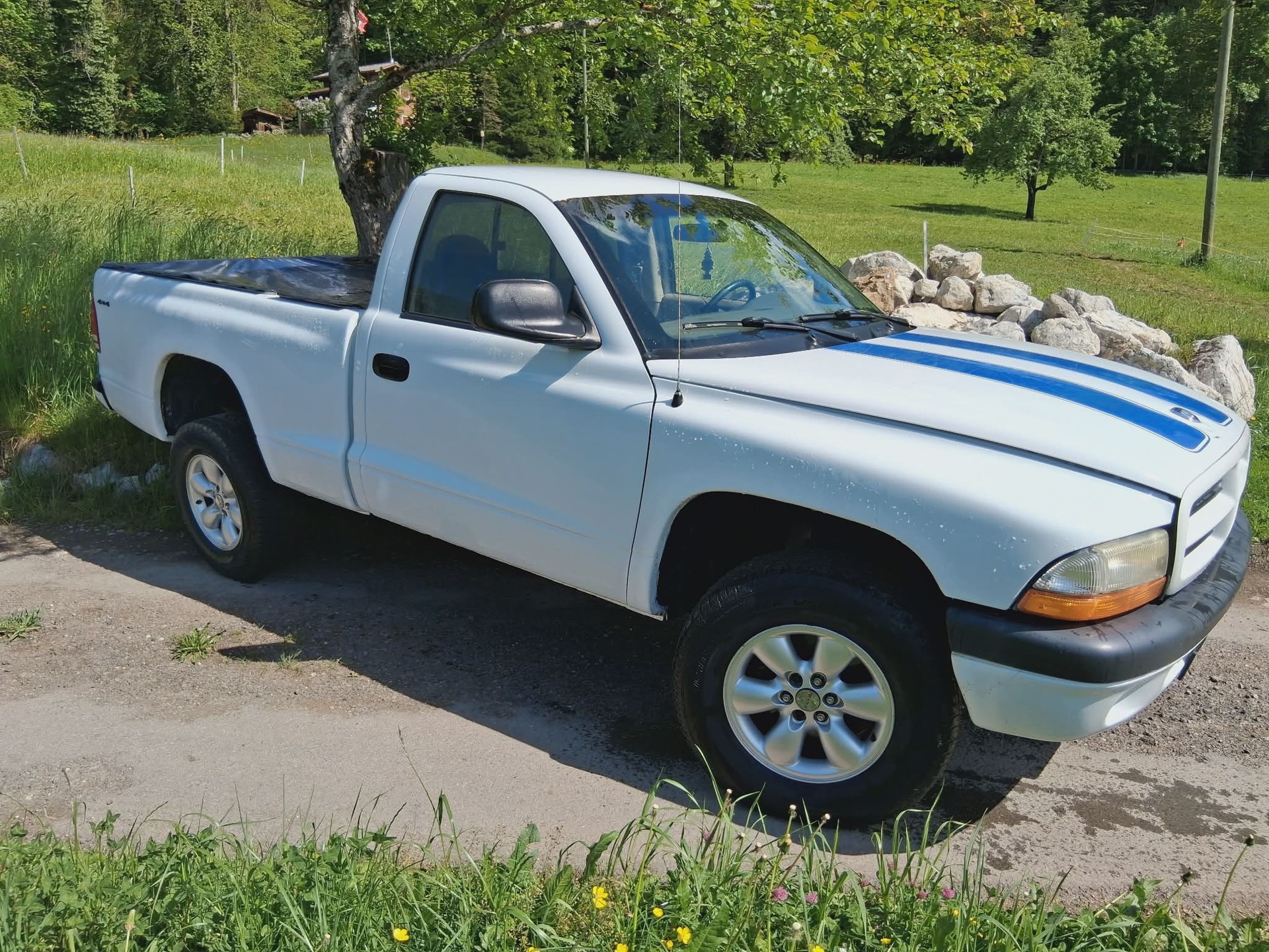 DODGE Dodge Dakota 3.9l V6-image-3