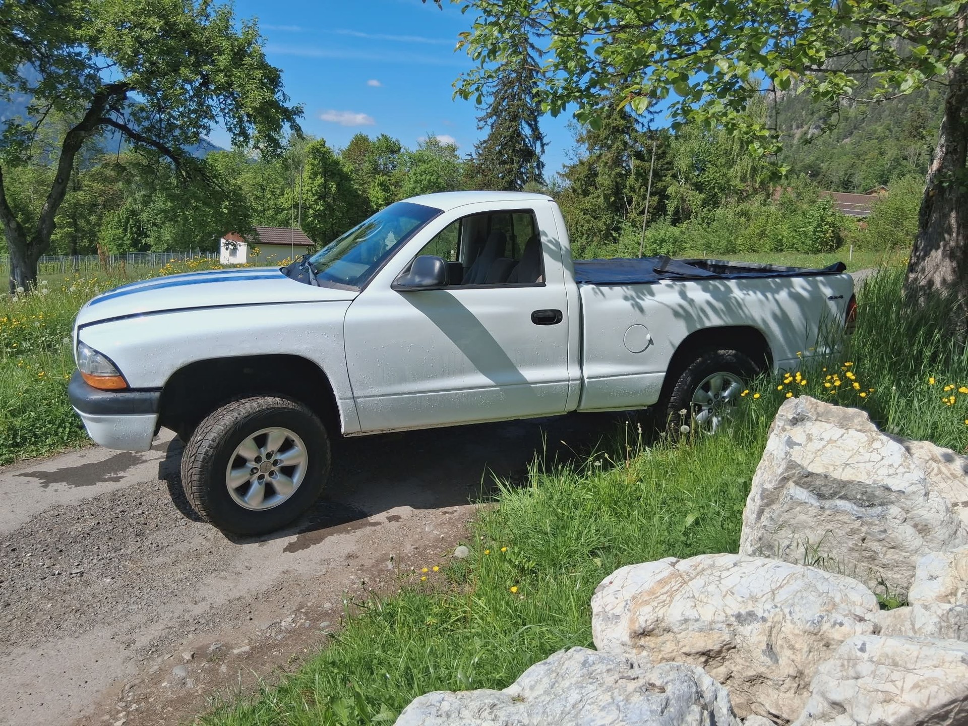 DODGE Dodge Dakota 3.9l V6-image-1