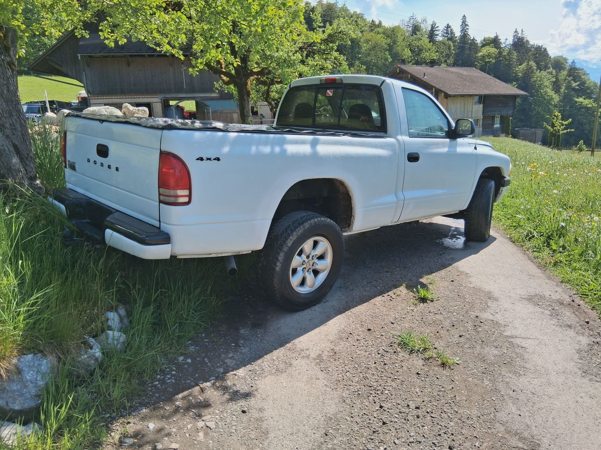 DODGE Dodge Dakota 3.9l V6-image-4