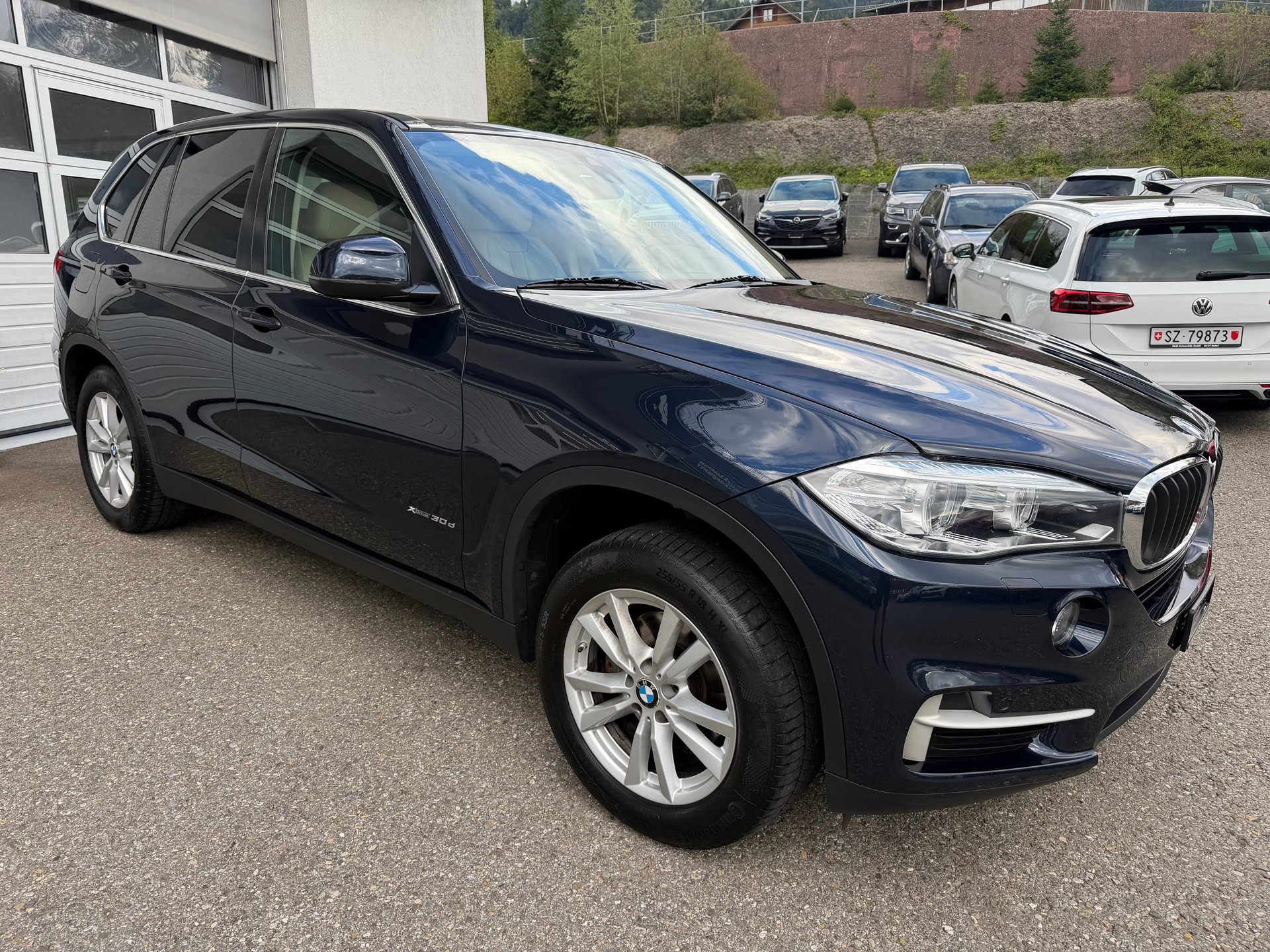 BMW X5 xDrive 30d Steptronic-showroom-element-3