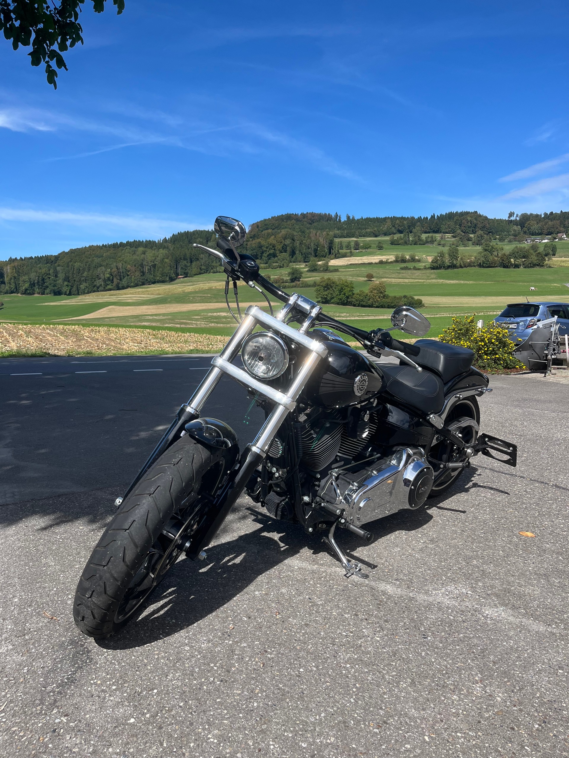 HARLEY-DAVIDSON FXSB Breakout 103 ABS-image-2