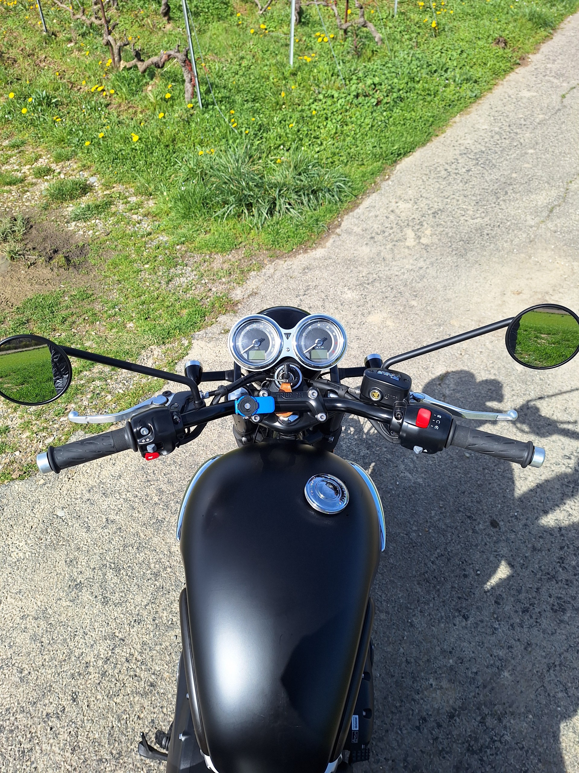 TRIUMPH Triumph 900 Bonneville T100 Black — 6'000 km seulement-image-3