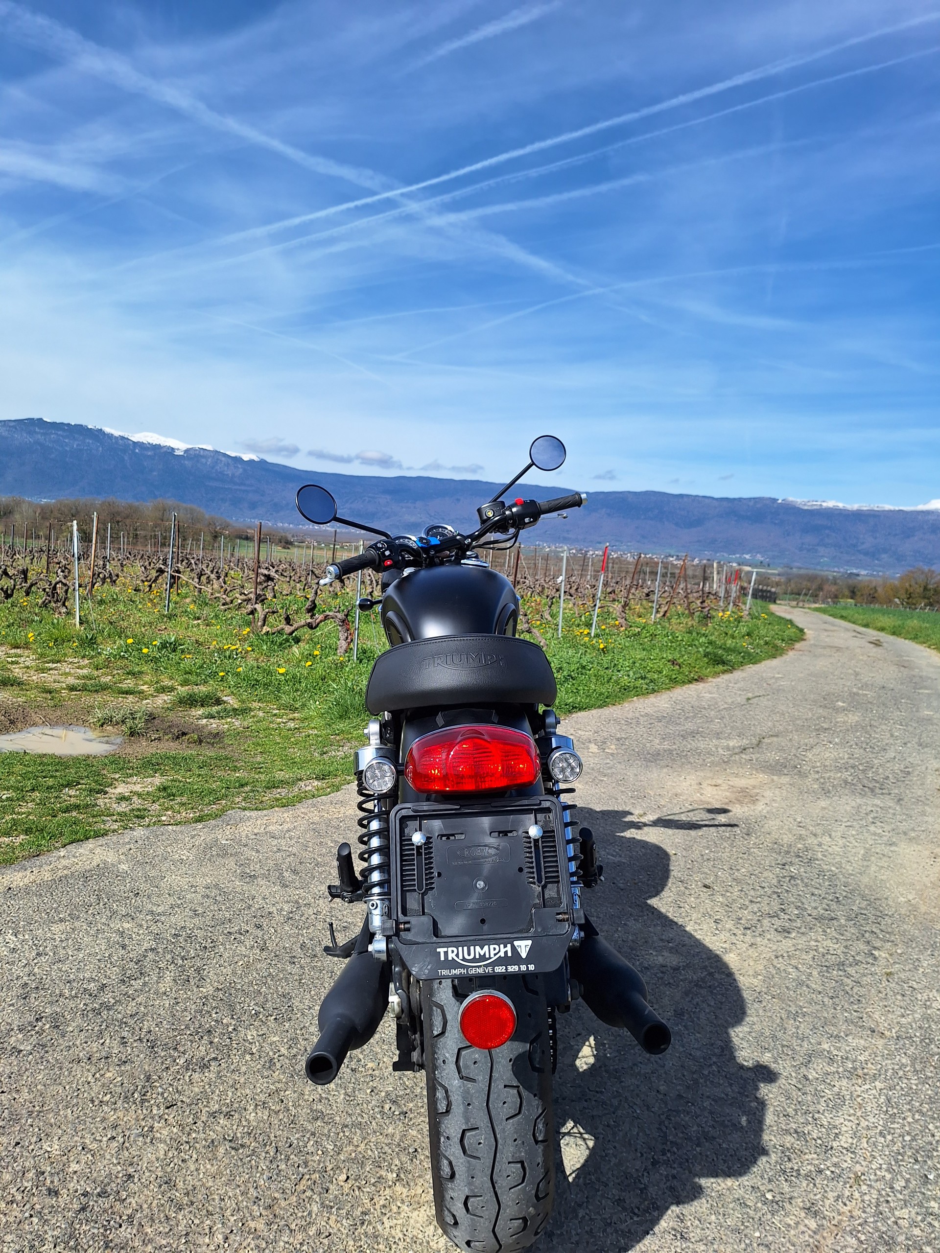 TRIUMPH Triumph 900 Bonneville T100 Black — 6'000 km seulement-image-1