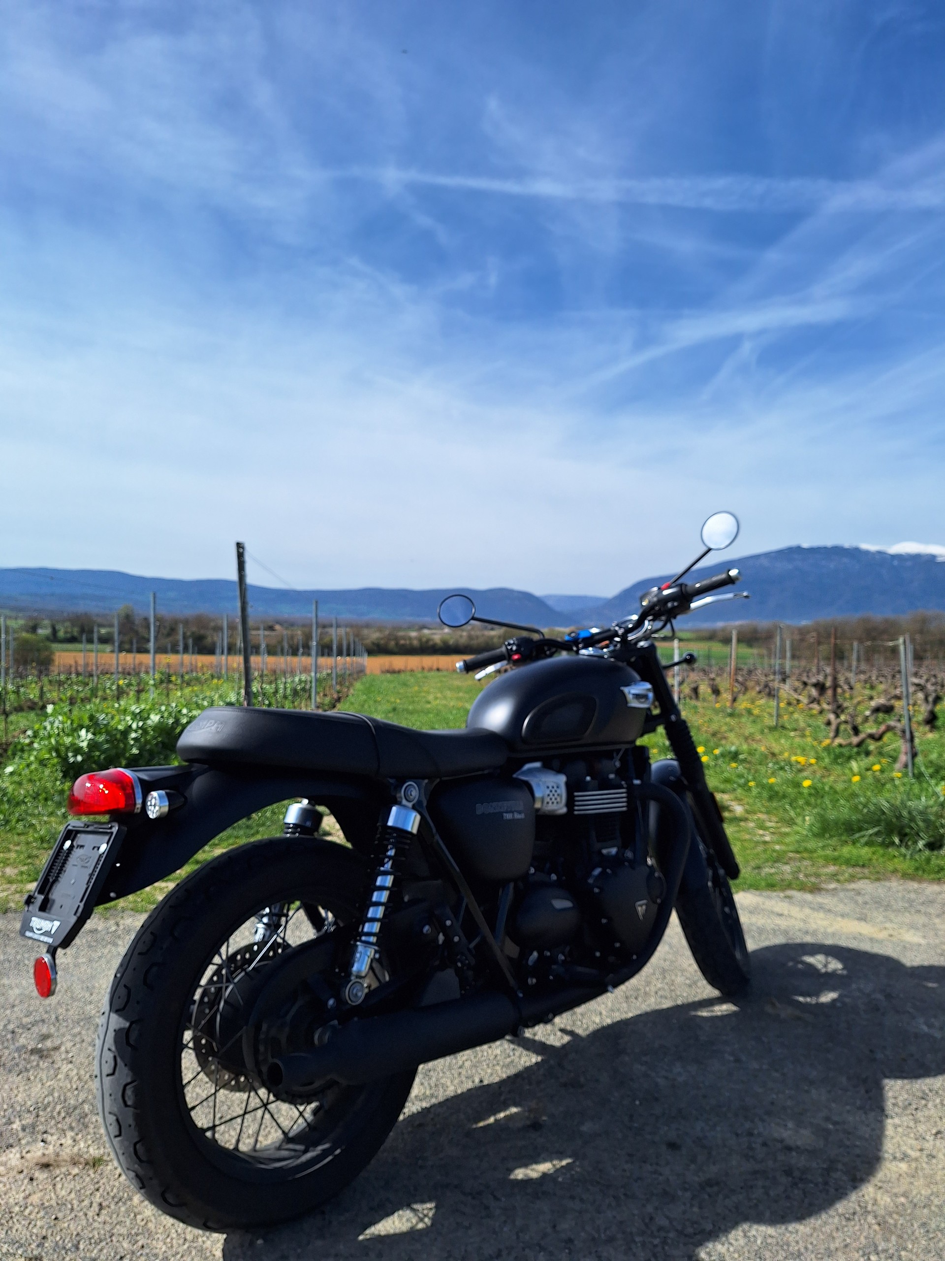 TRIUMPH Triumph 900 Bonneville T100 Black — 6'000 km seulement-image-2