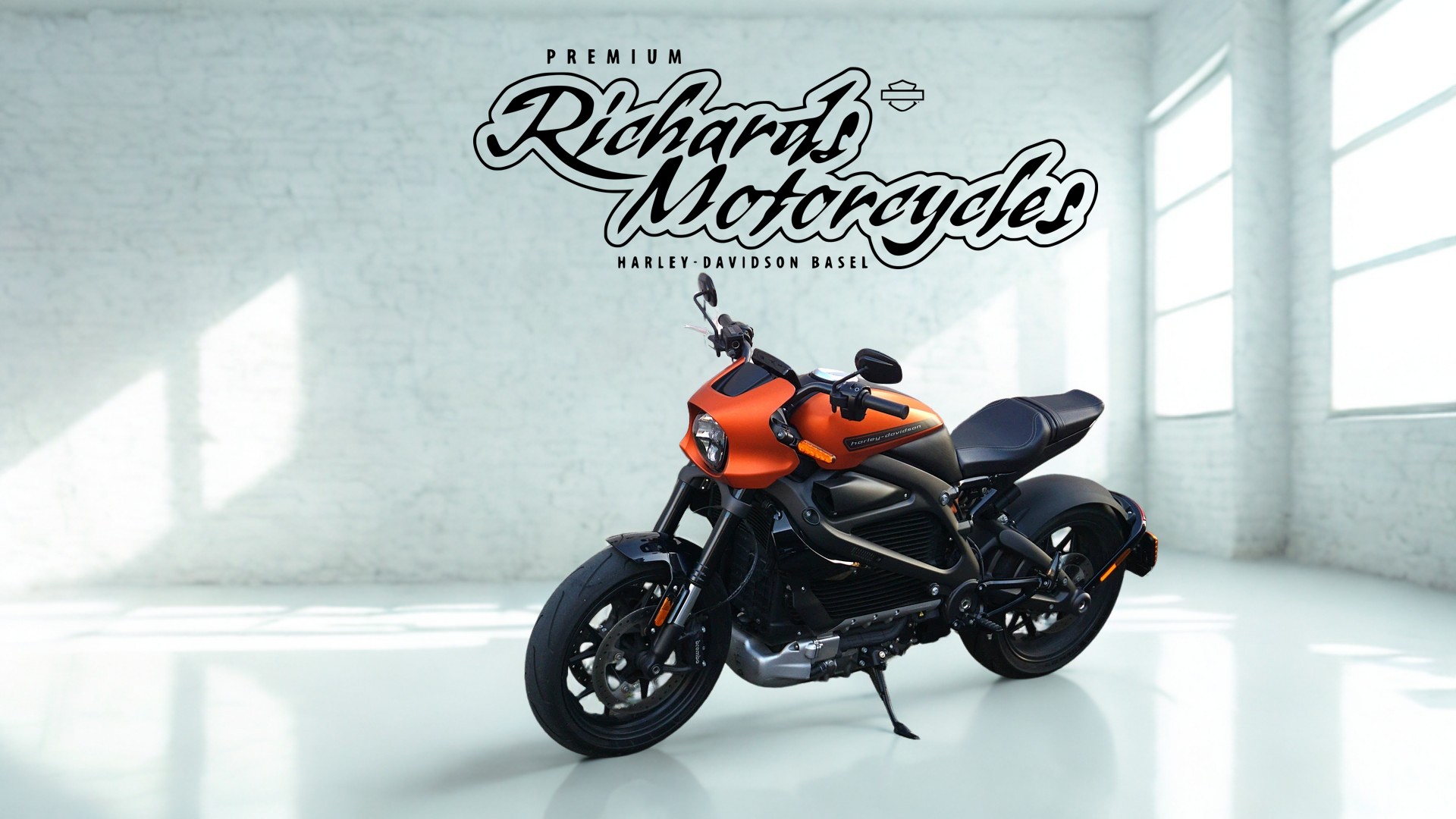 HARLEY-DAVIDSON Live Wire-image-4