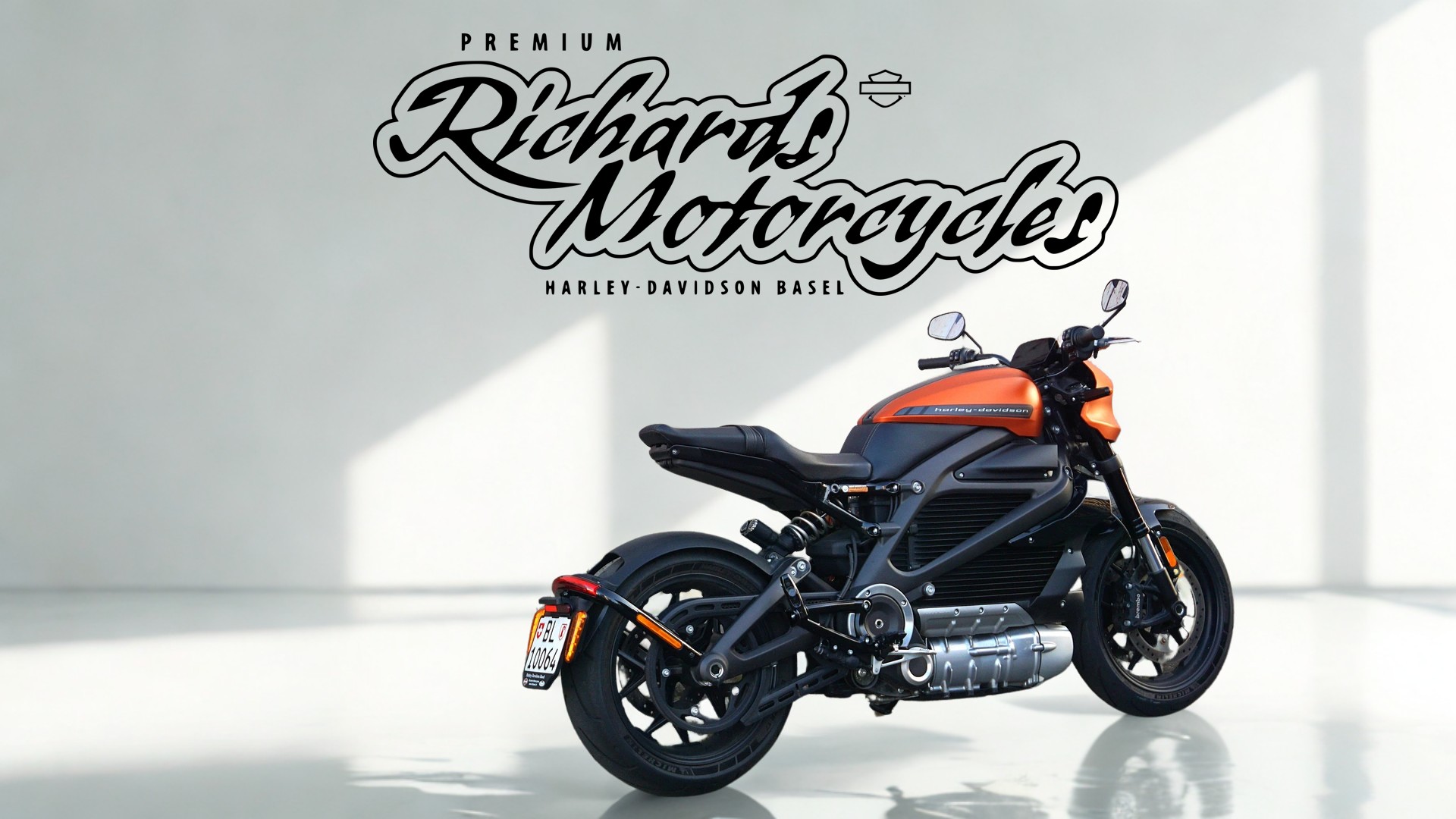 HARLEY-DAVIDSON Live Wire-image-2
