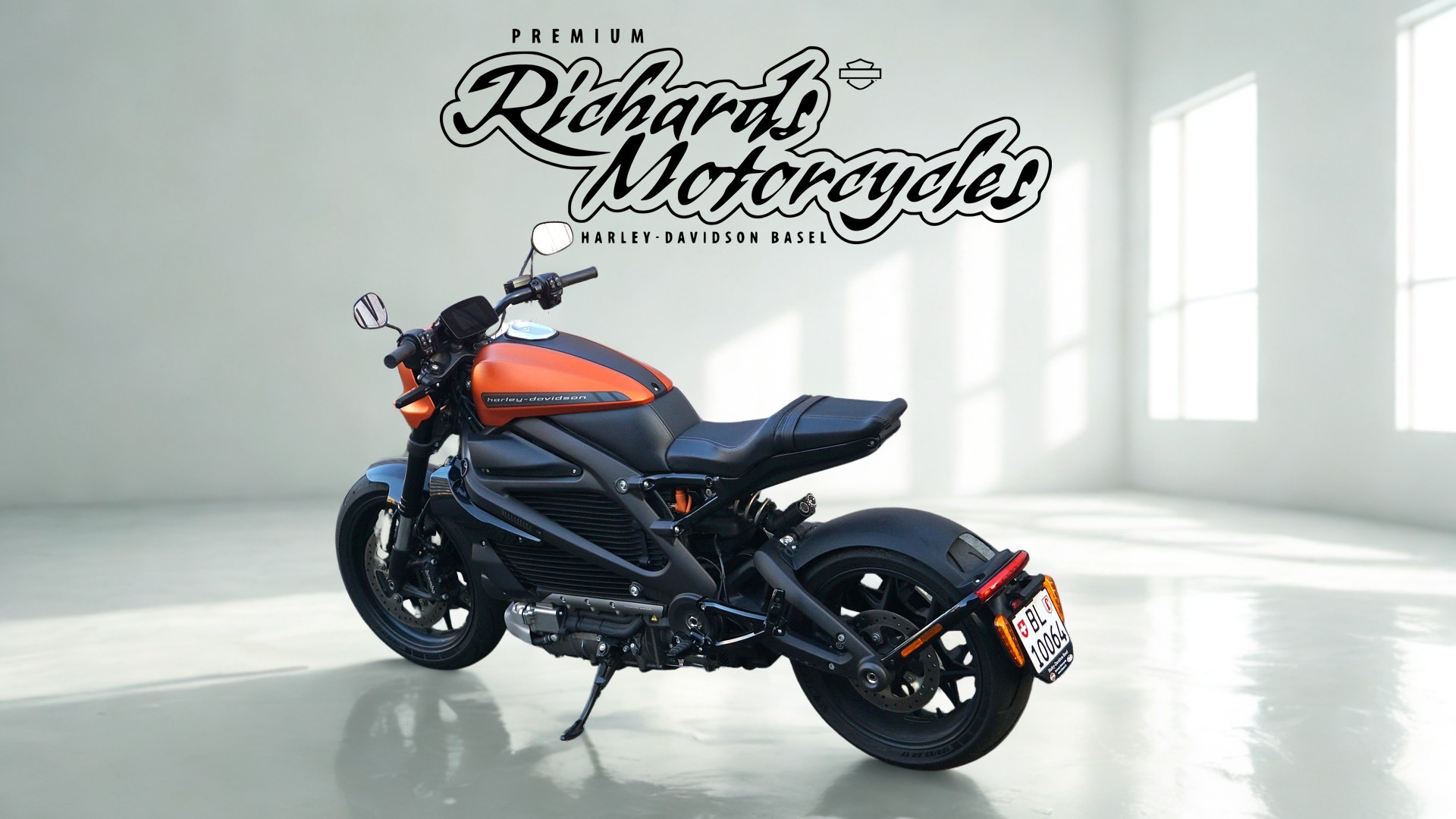 HARLEY-DAVIDSON Live Wire-image-5