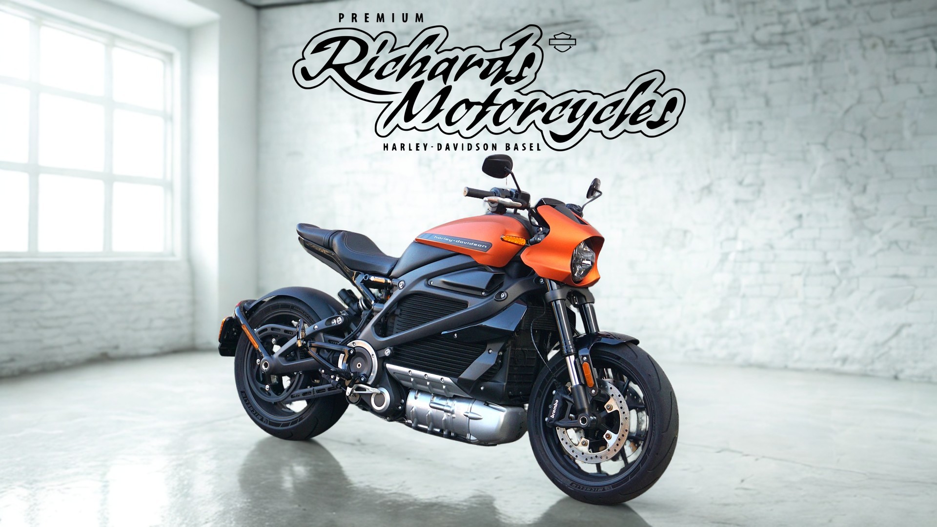 HARLEY-DAVIDSON Live Wire-image-1