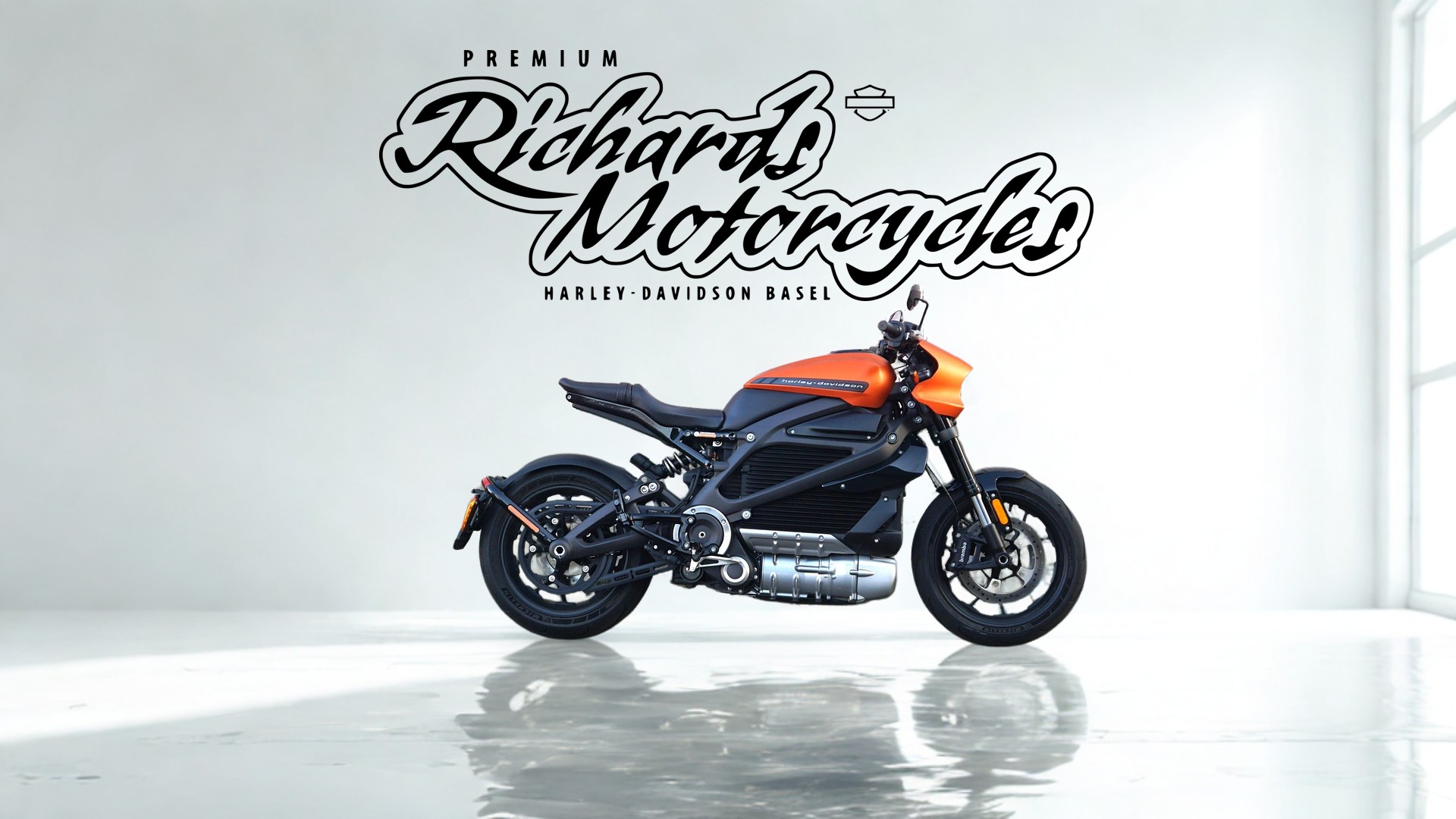 HARLEY-DAVIDSON Live Wire-image-0
