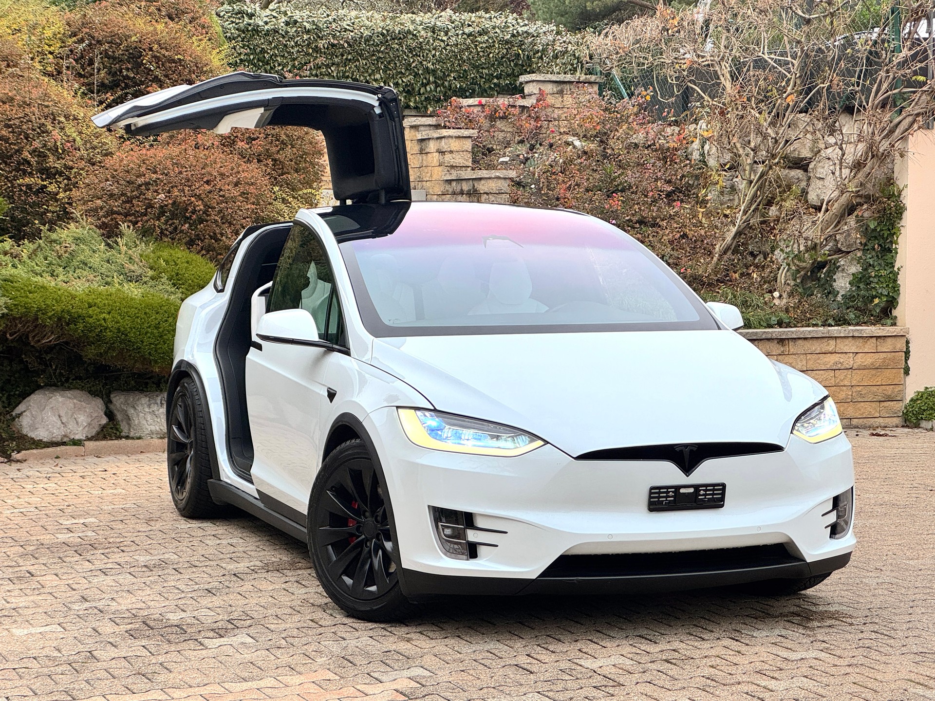 TESLA Model X Performance Ludicrous Plus-image-4