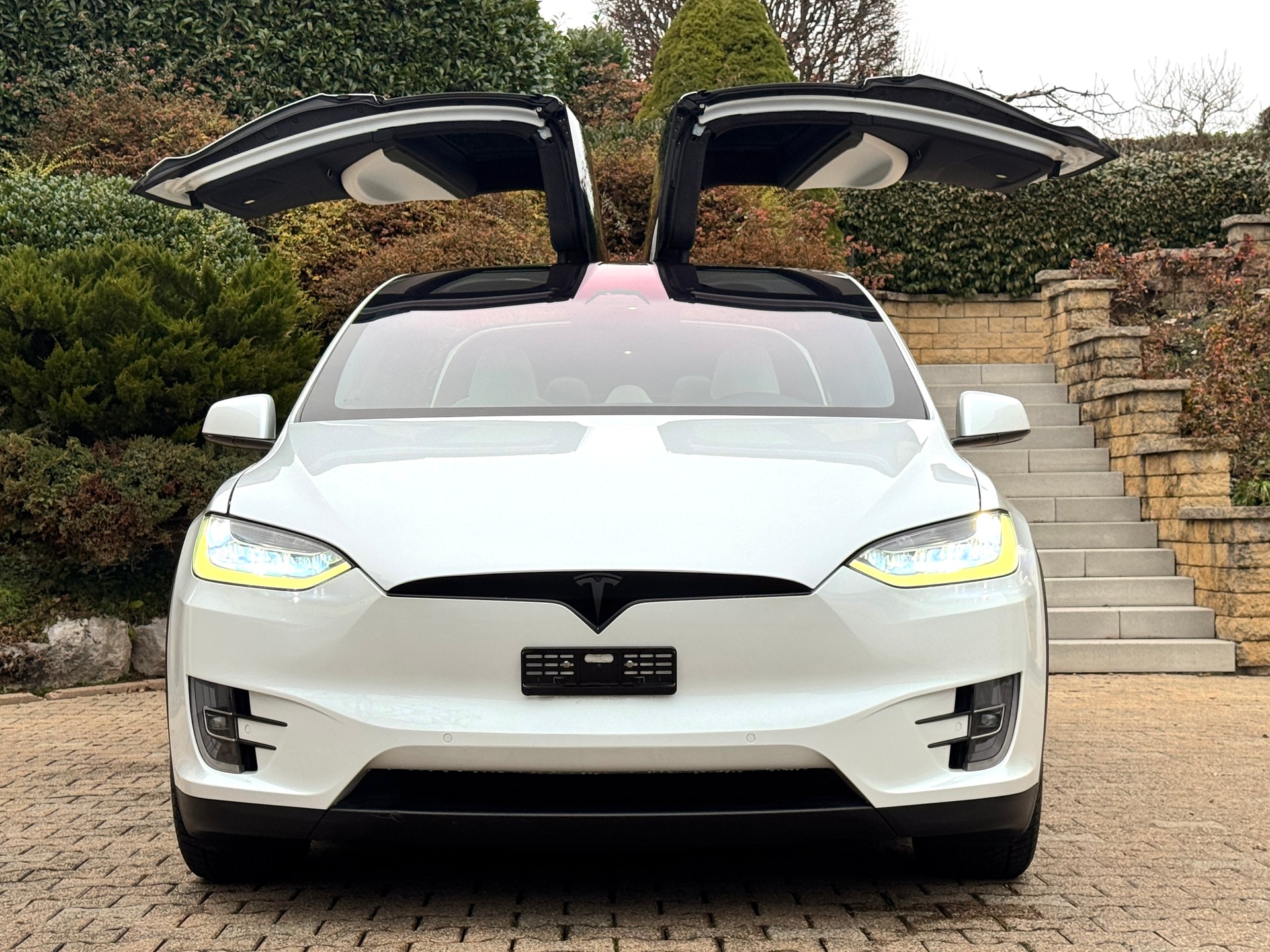 TESLA Model X Performance Ludicrous Plus-image-11