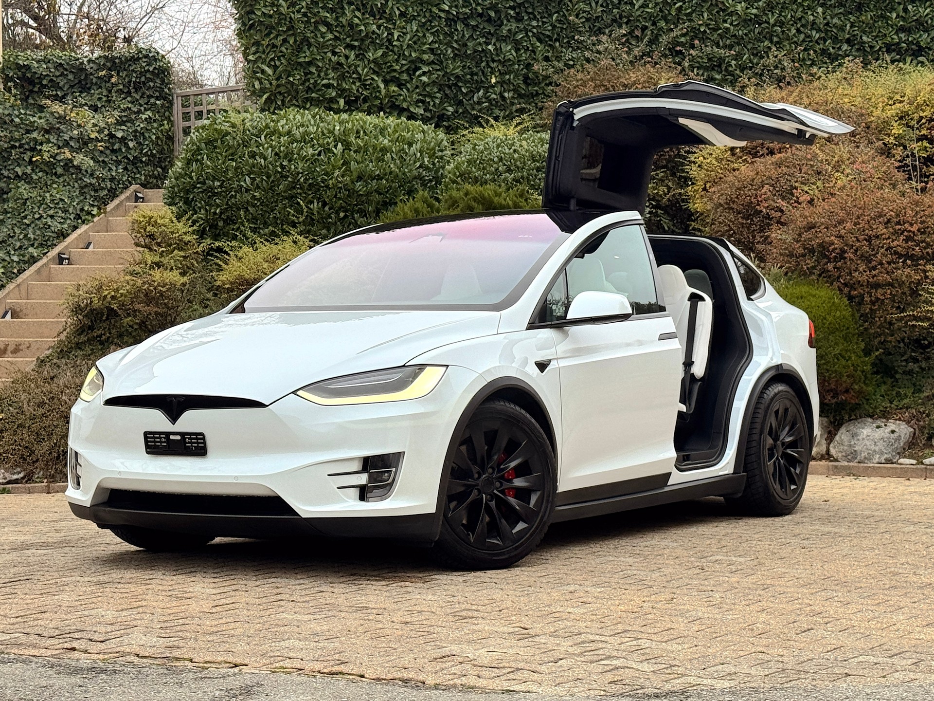 TESLA Model X Performance Ludicrous Plus-image-3