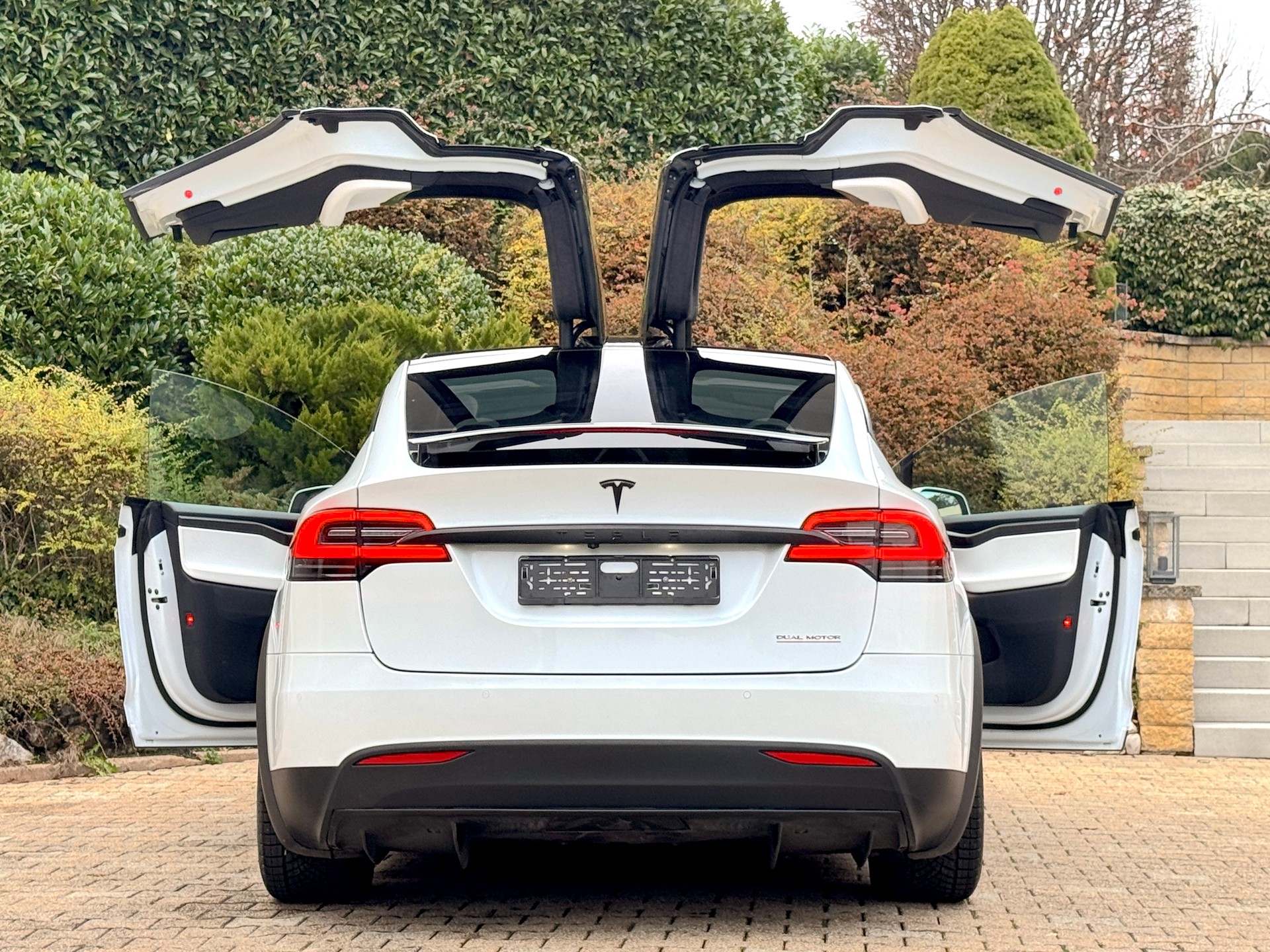 TESLA Model X Performance Ludicrous Plus-image-7