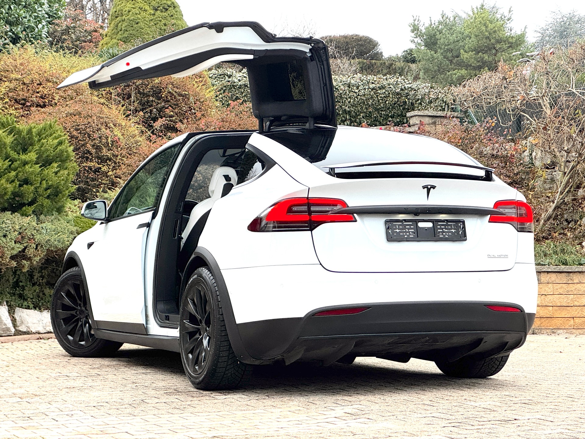 TESLA Model X Performance Ludicrous Plus-image-8